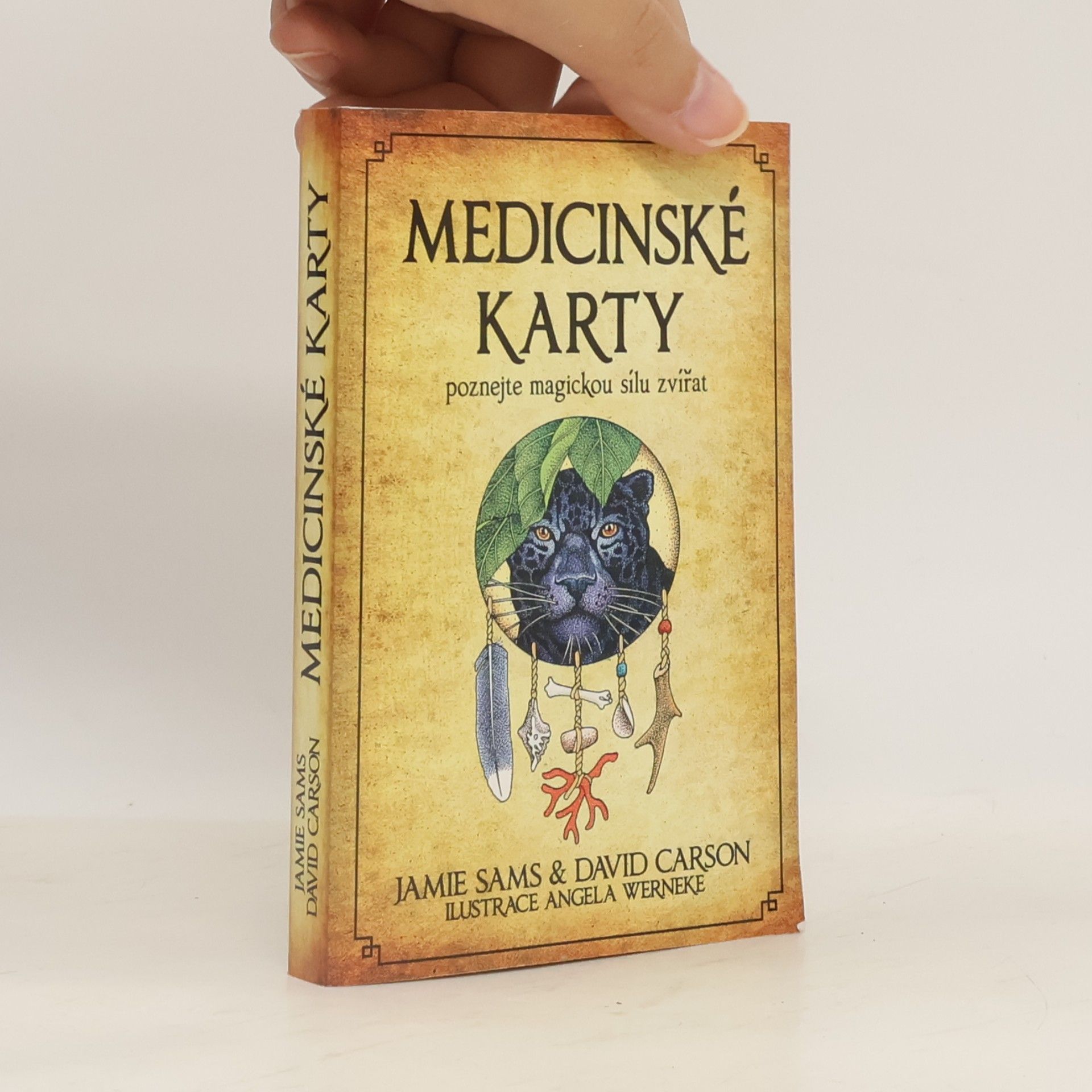 Jamie Sams Medicinské karty. Poznejte magickou sílu zvířat