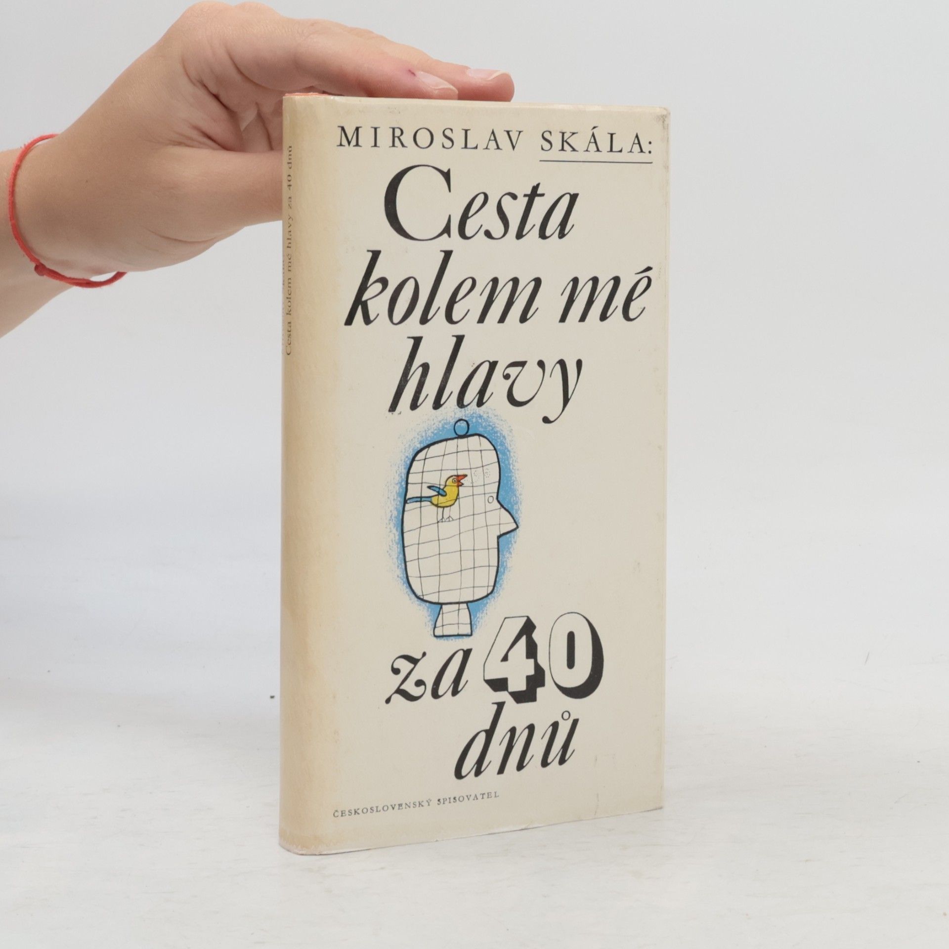 Miroslav Skála Cesta kolem mé hlavy za 40 dnů
