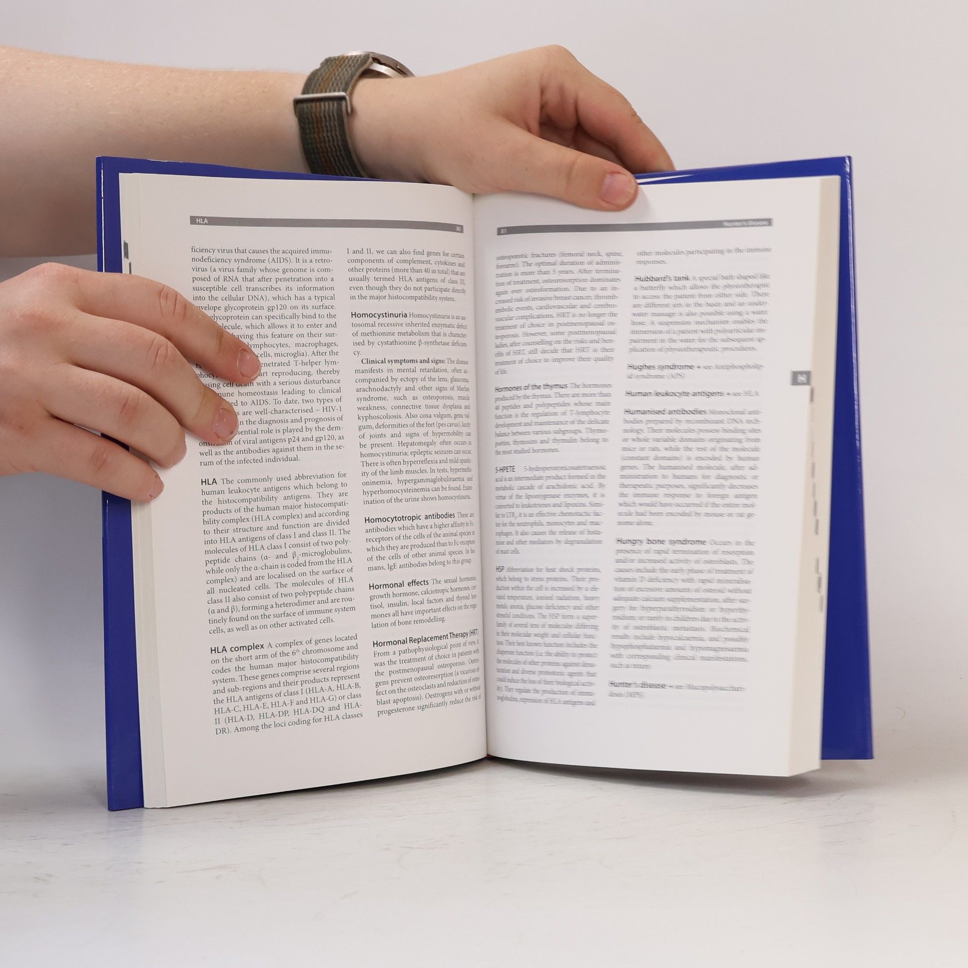 Kolektiv autorů Dictionary of Rheumatology