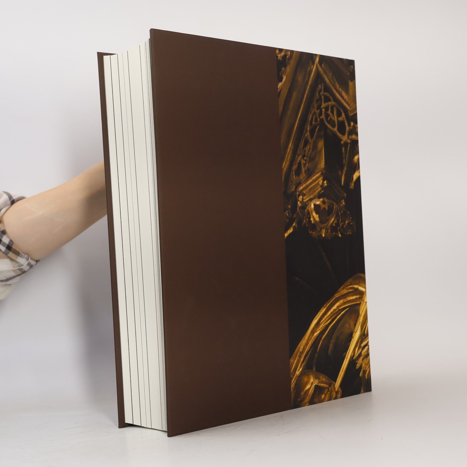 Jan W. Drnek Biblia : Starý a Nový zákon
