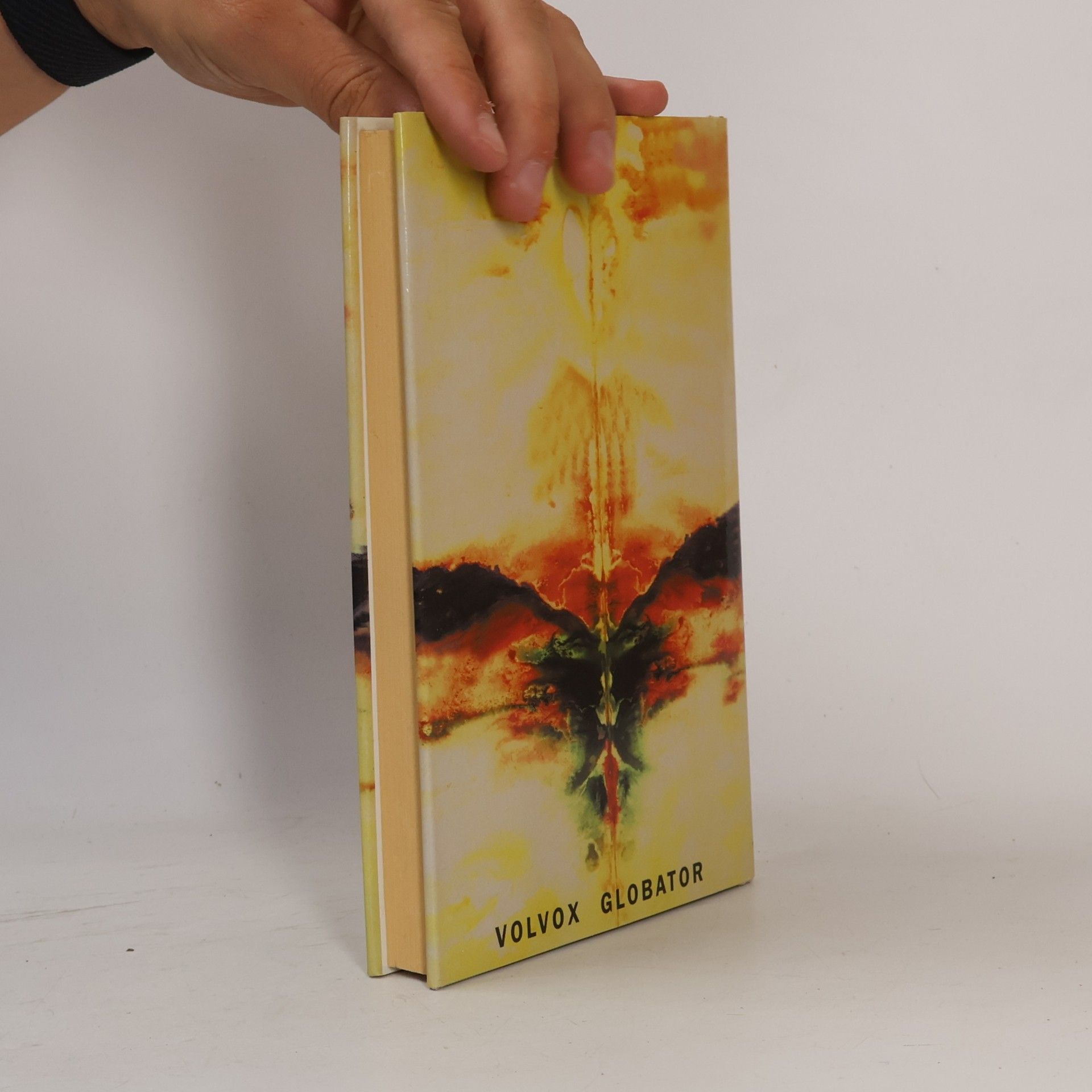 Carlos Castaneda Příběh síly