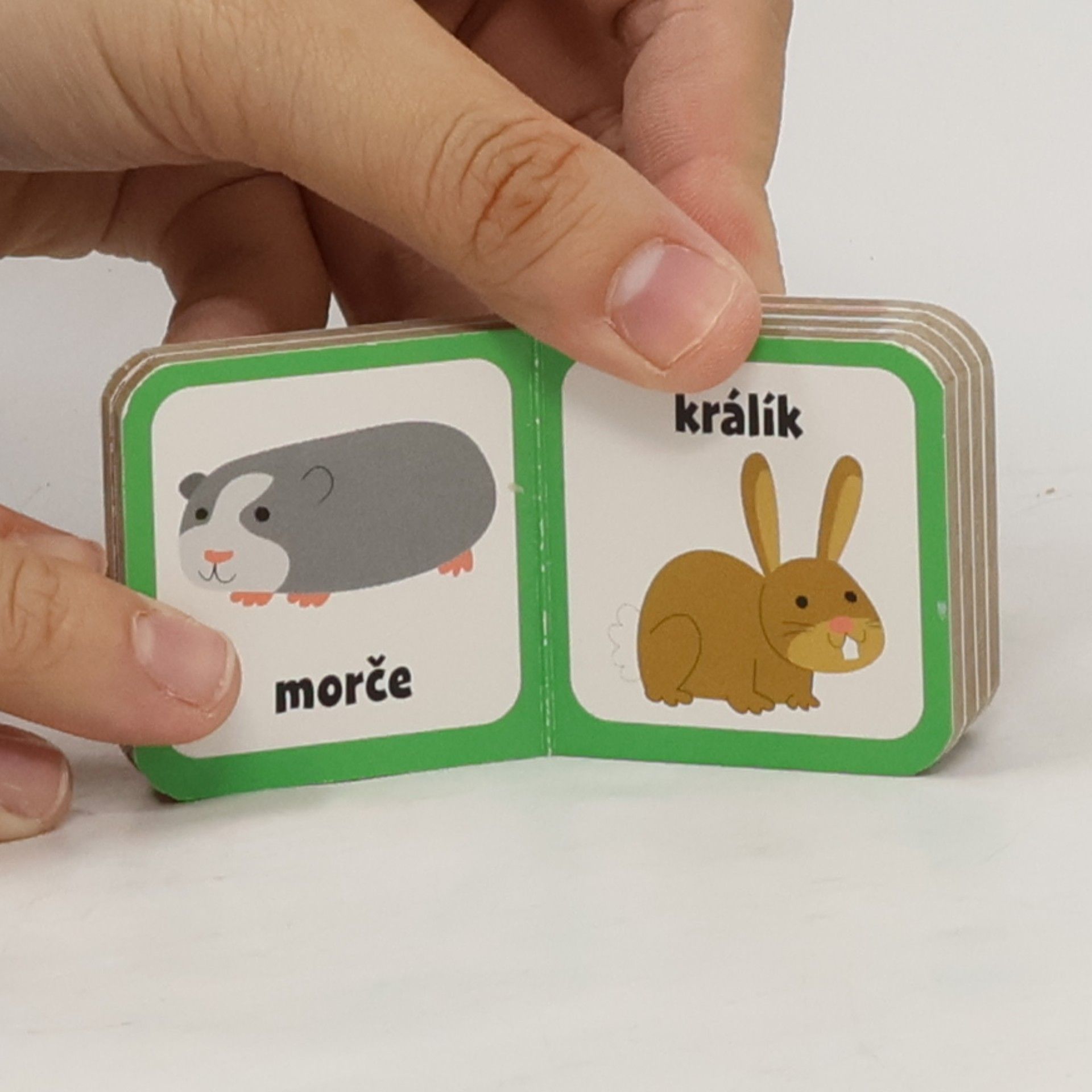 Autorenkollektiv Zvířátka - 9 miniknížeček pro malé ručičky