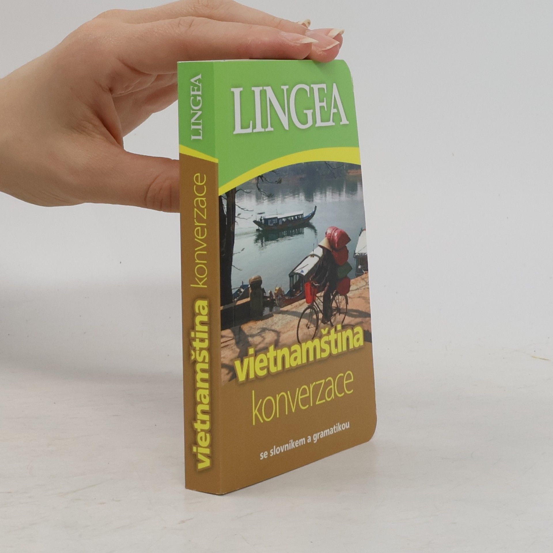 Auteurscollectief Vietnamština. Konverzace