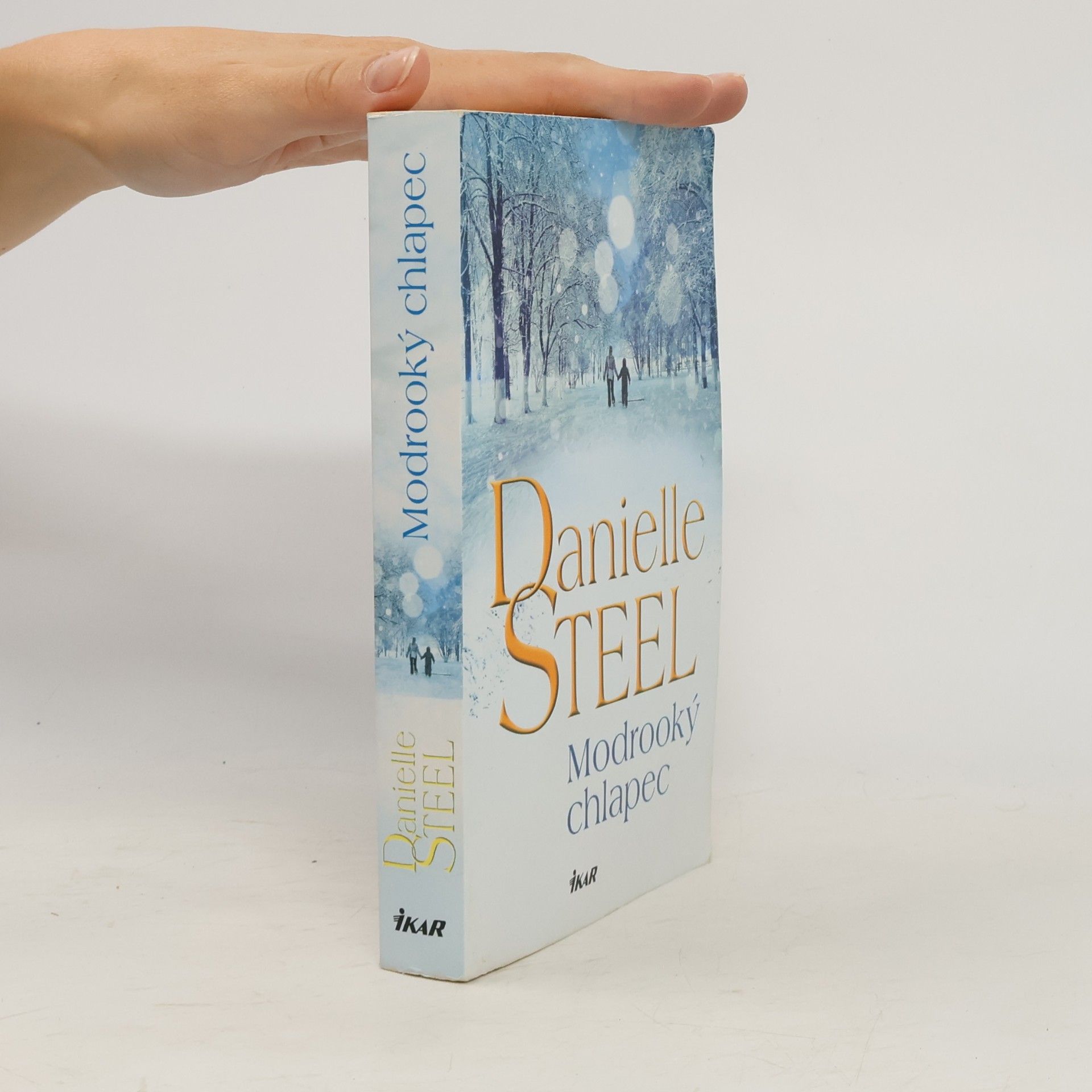 Danielle Steel Modrooký chlapec