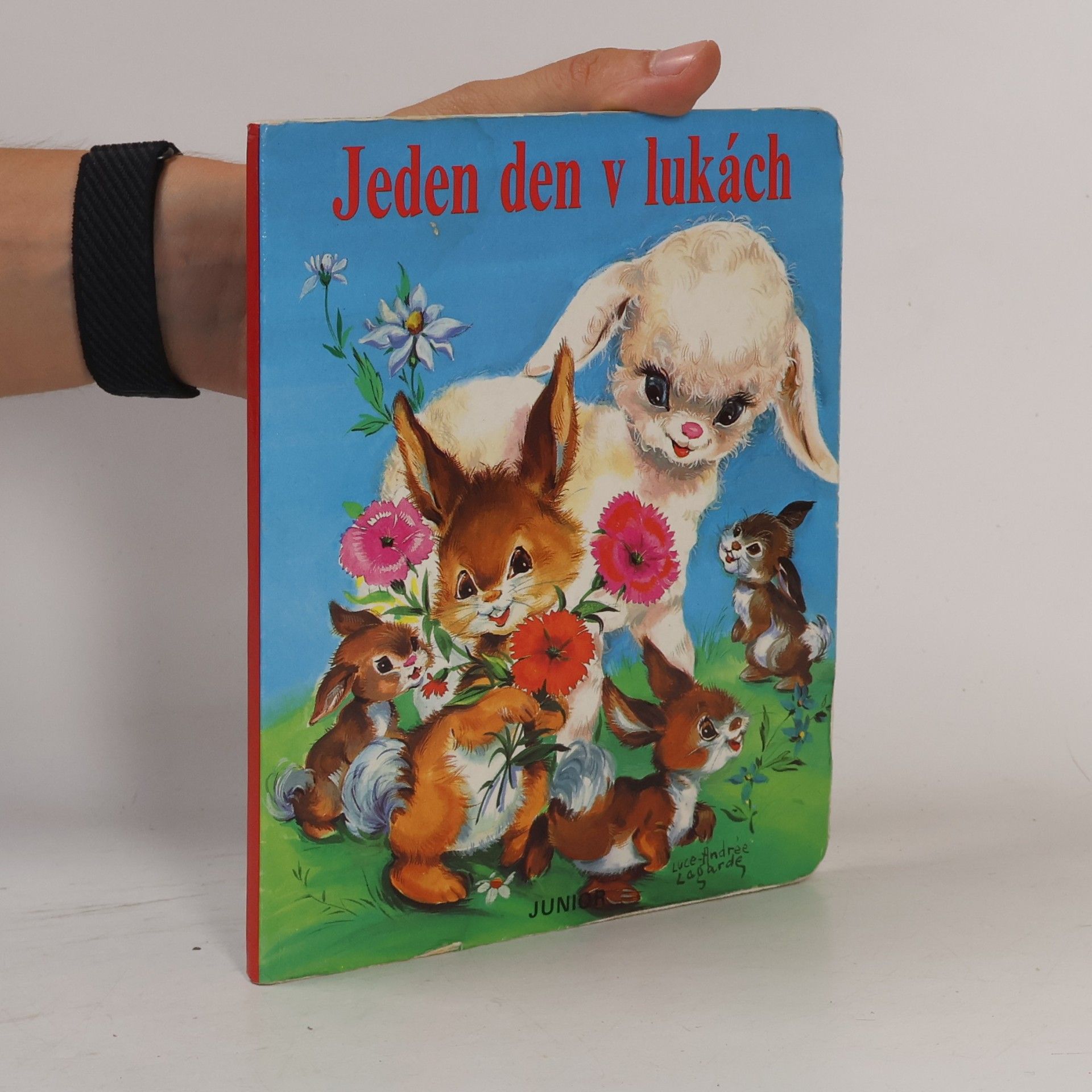 Luce Andrée Lagarde Jeden den v lukách