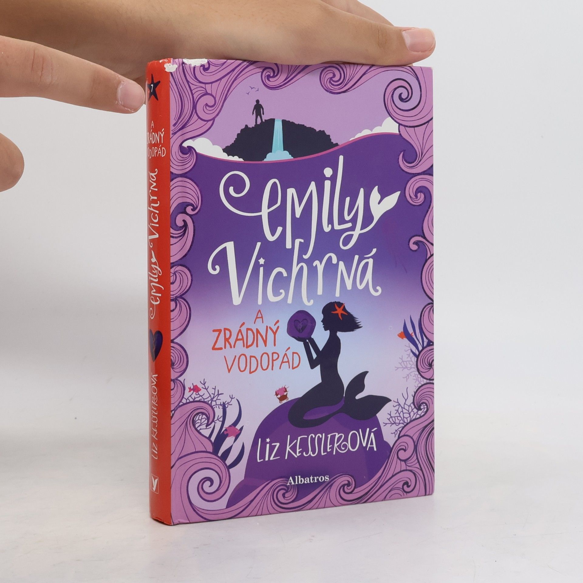 Liz Kessler Emily Vichrná a zrádný vodopád