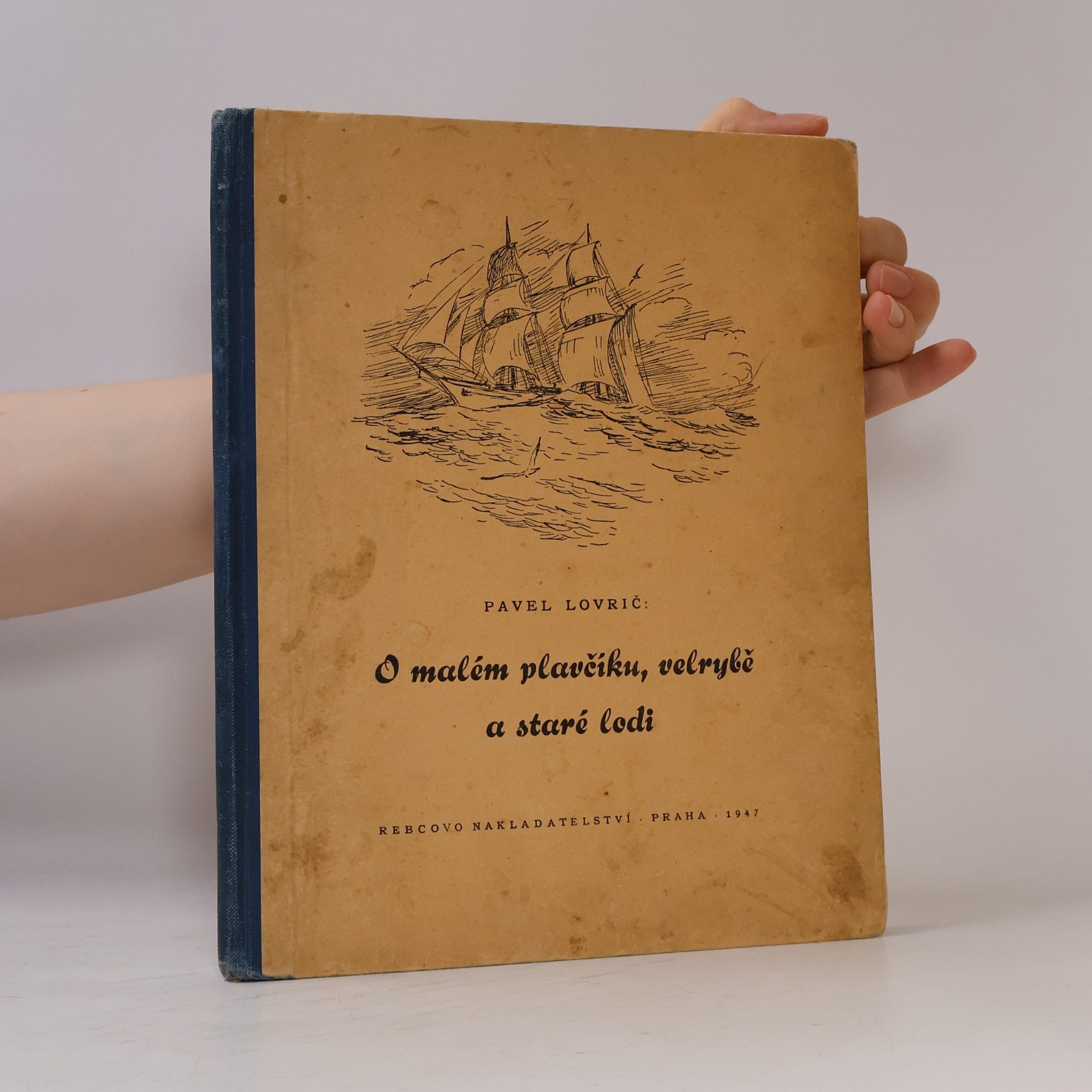 O malém plavčíku, velrybě a staré lodi