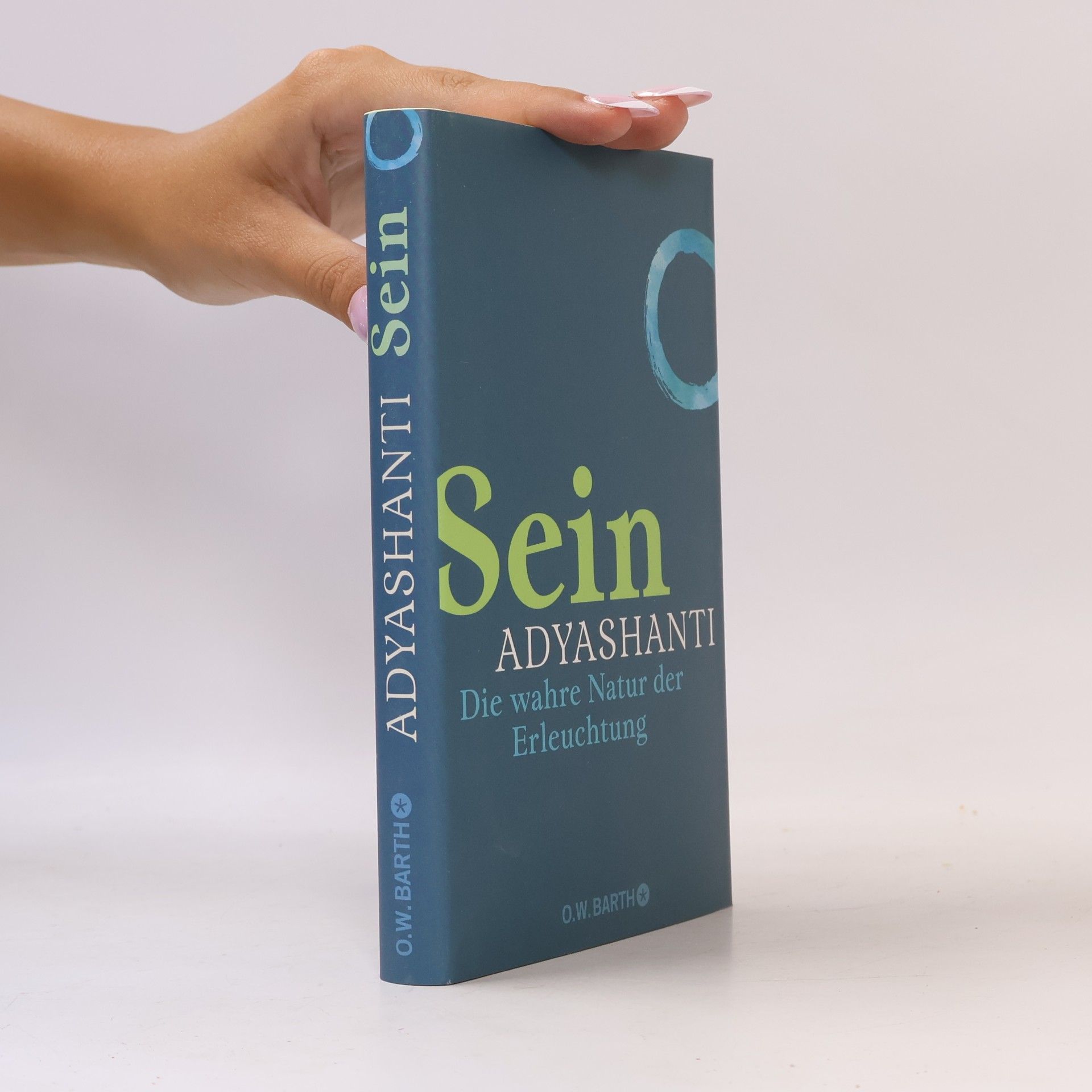 Adyashanti Sein
