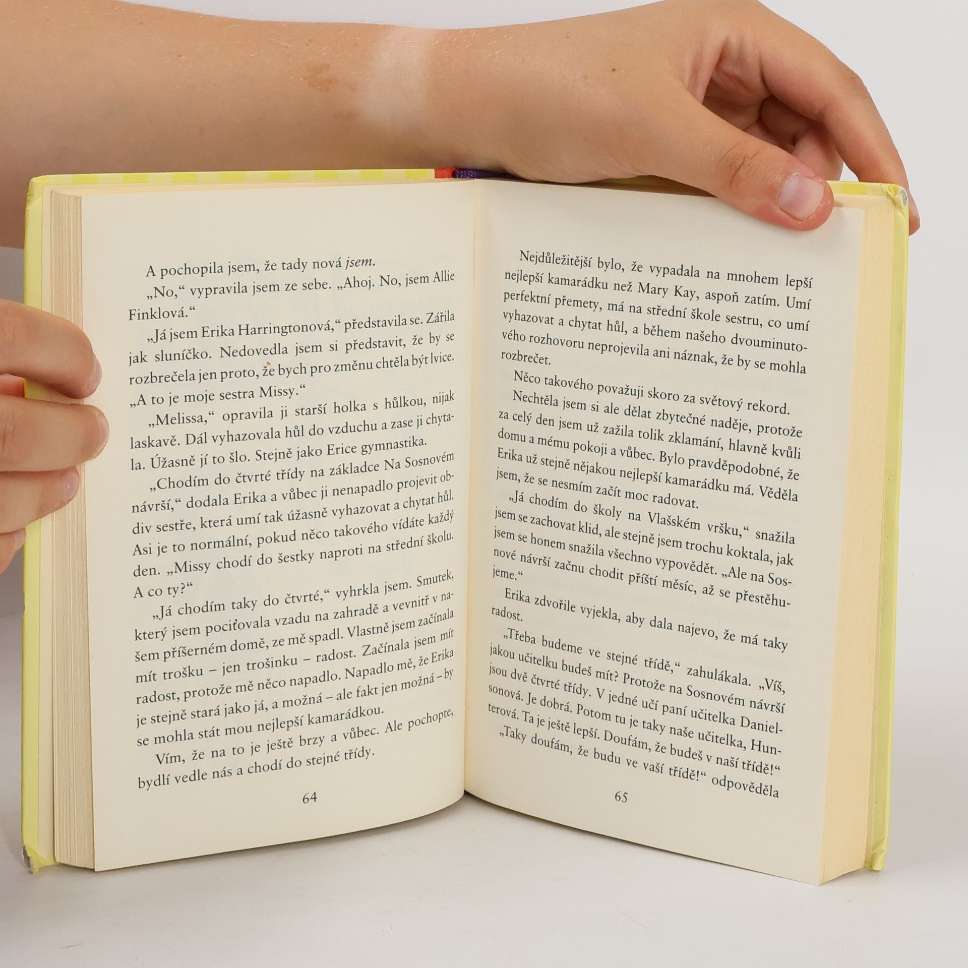 Meg Cabot Allie Finklová. Holčičí pravidla 1