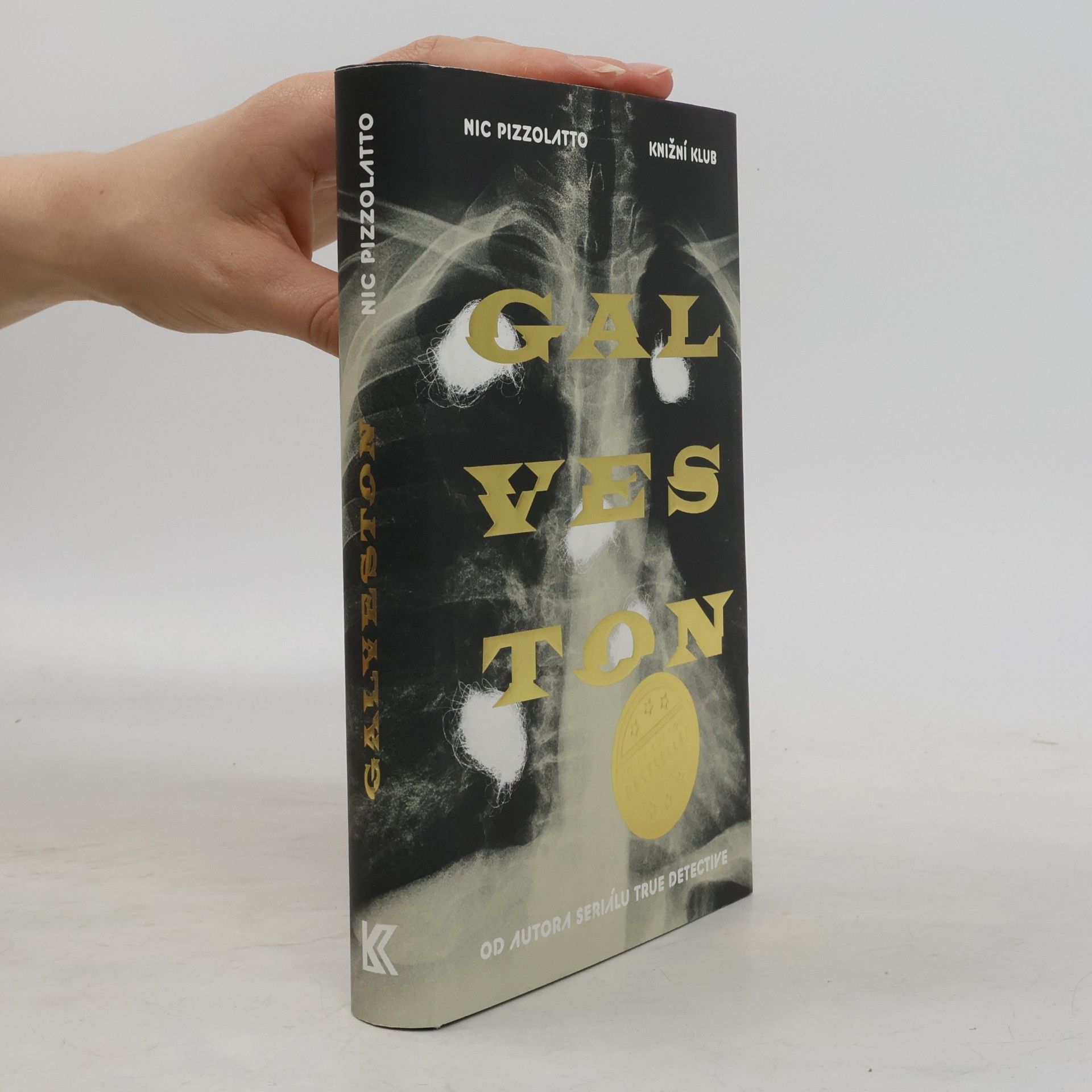 Nic Pizzolatto Galveston