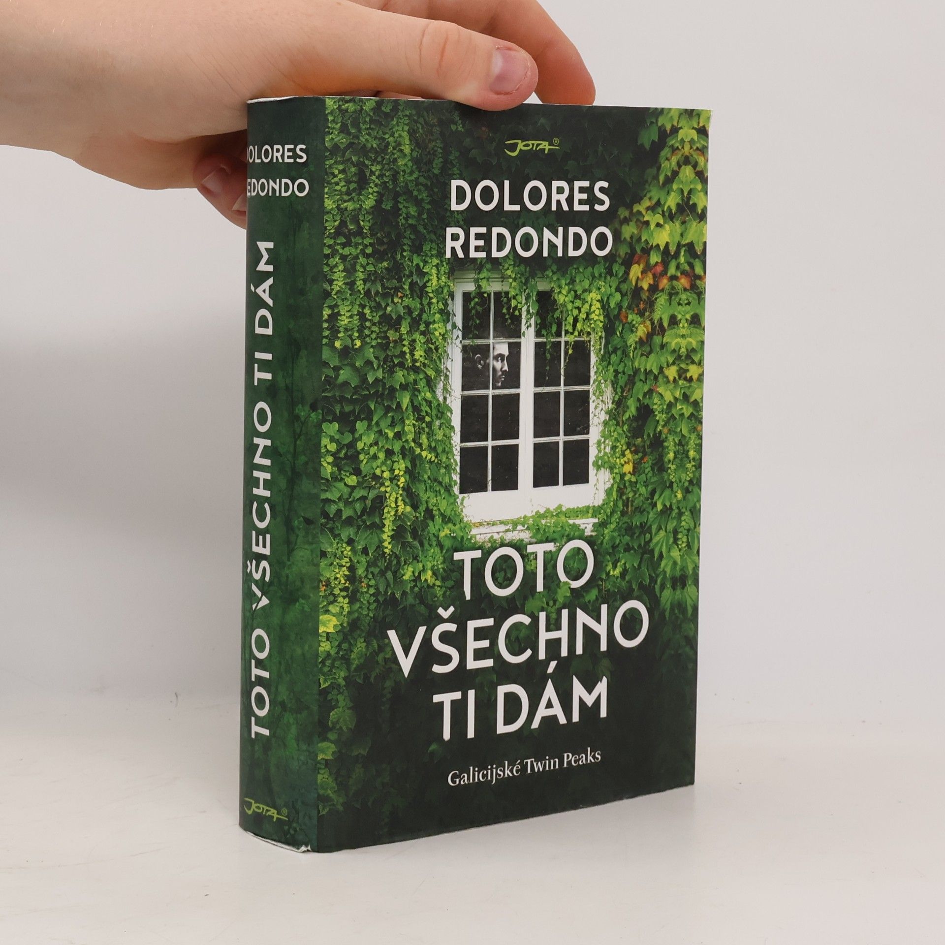 Dolores Redondo Toto všechno ti dám