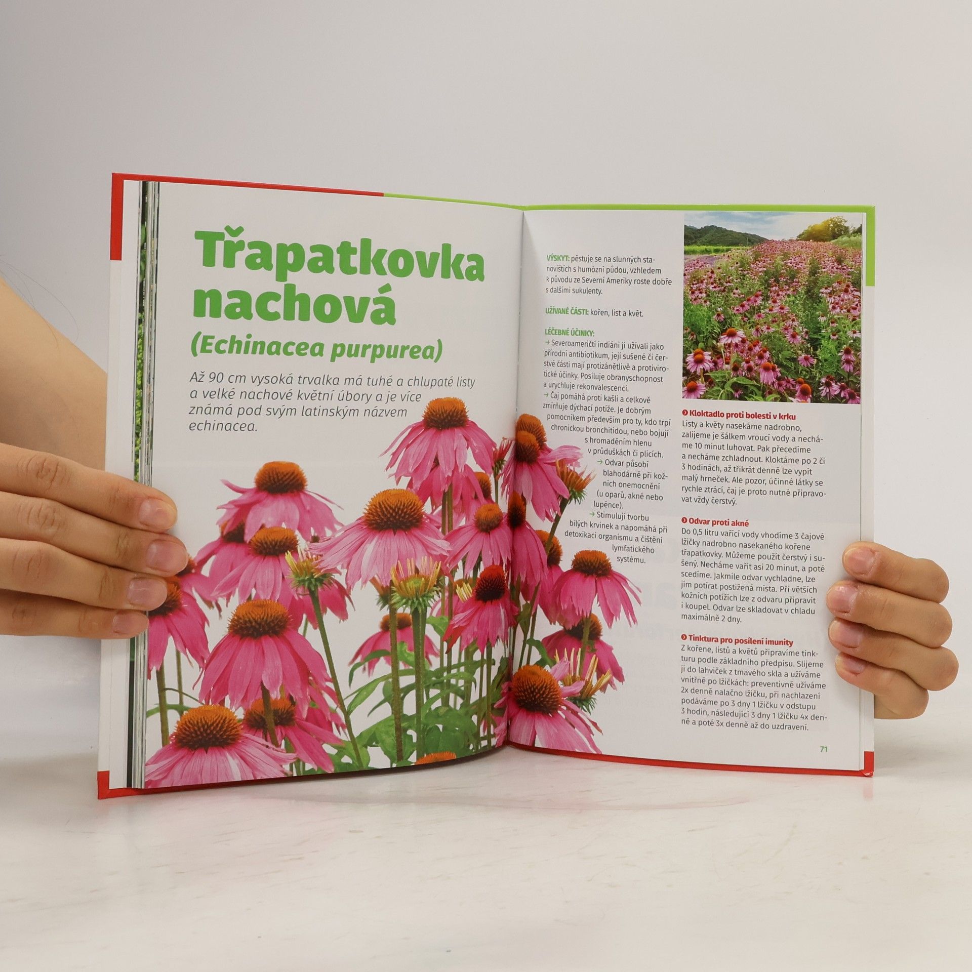 Kolektiv autorů Edice Receptář č.2: Zelená lékárna