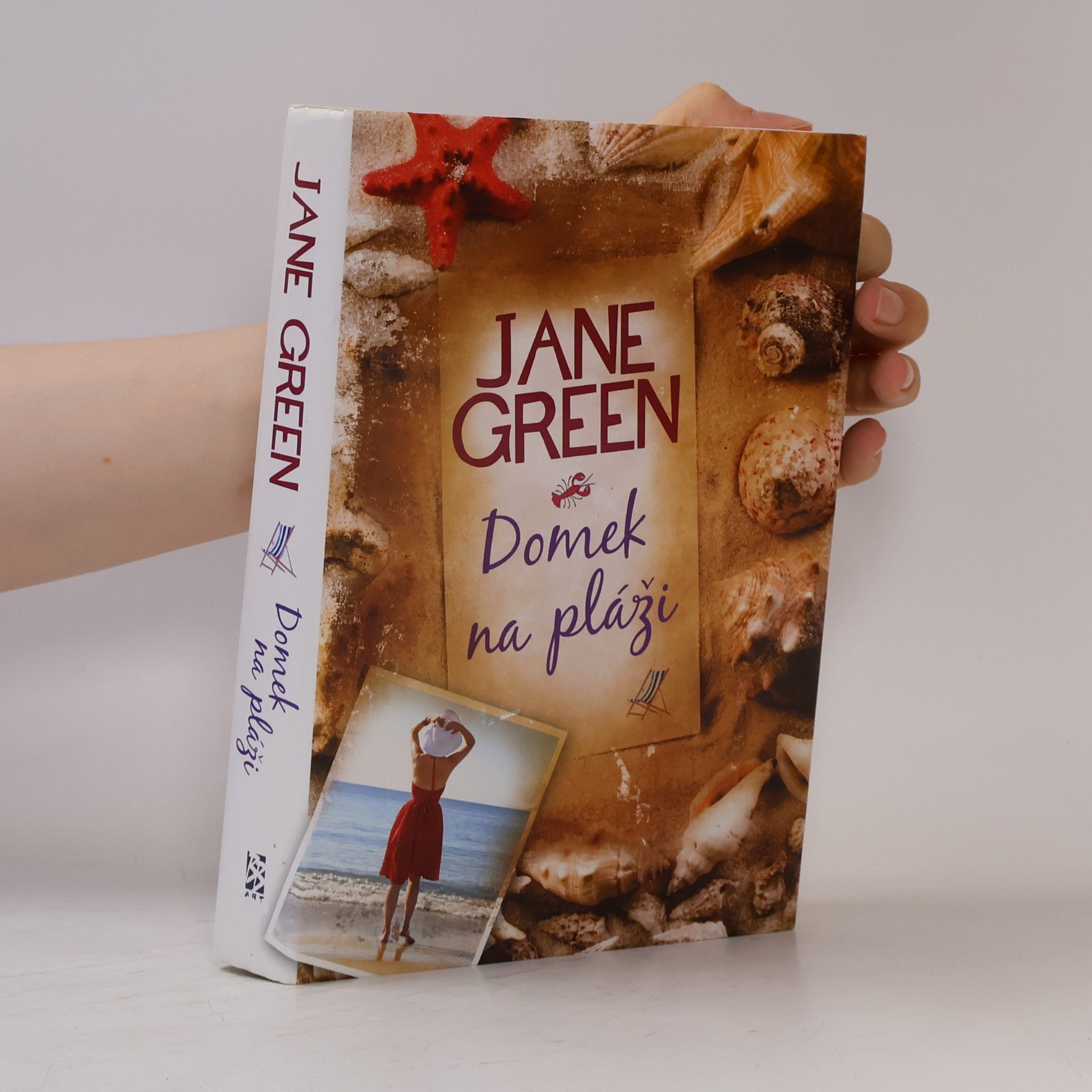Jane Green Domek na pláži