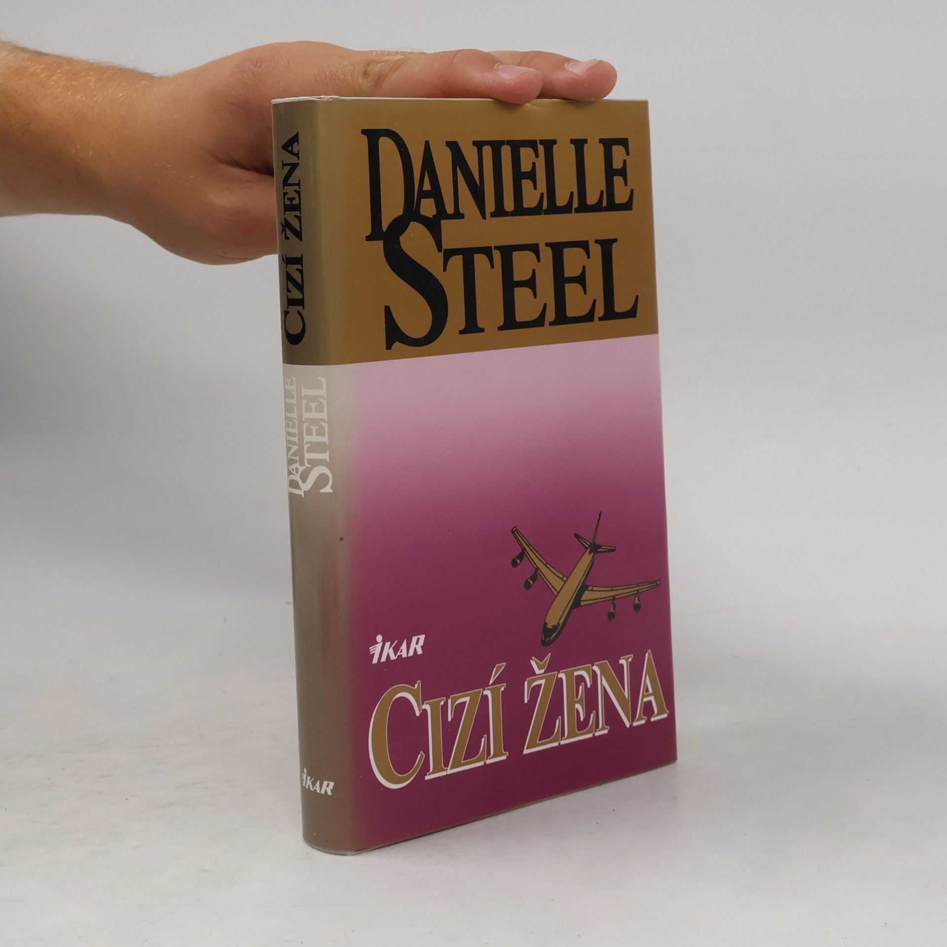 Danielle Steelová Cizí žena