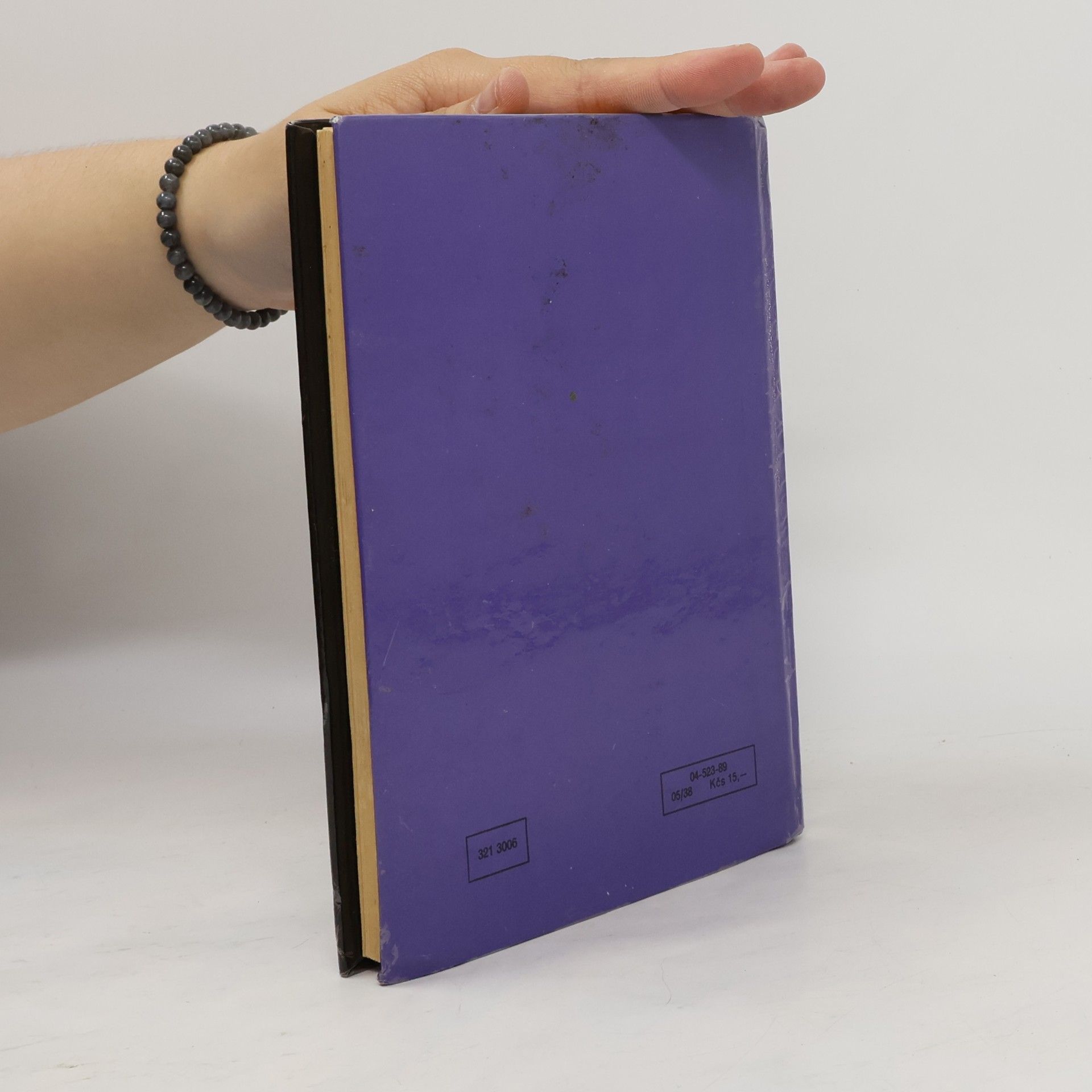 Jiří Chlup Elektronika pro silnoproudé obory