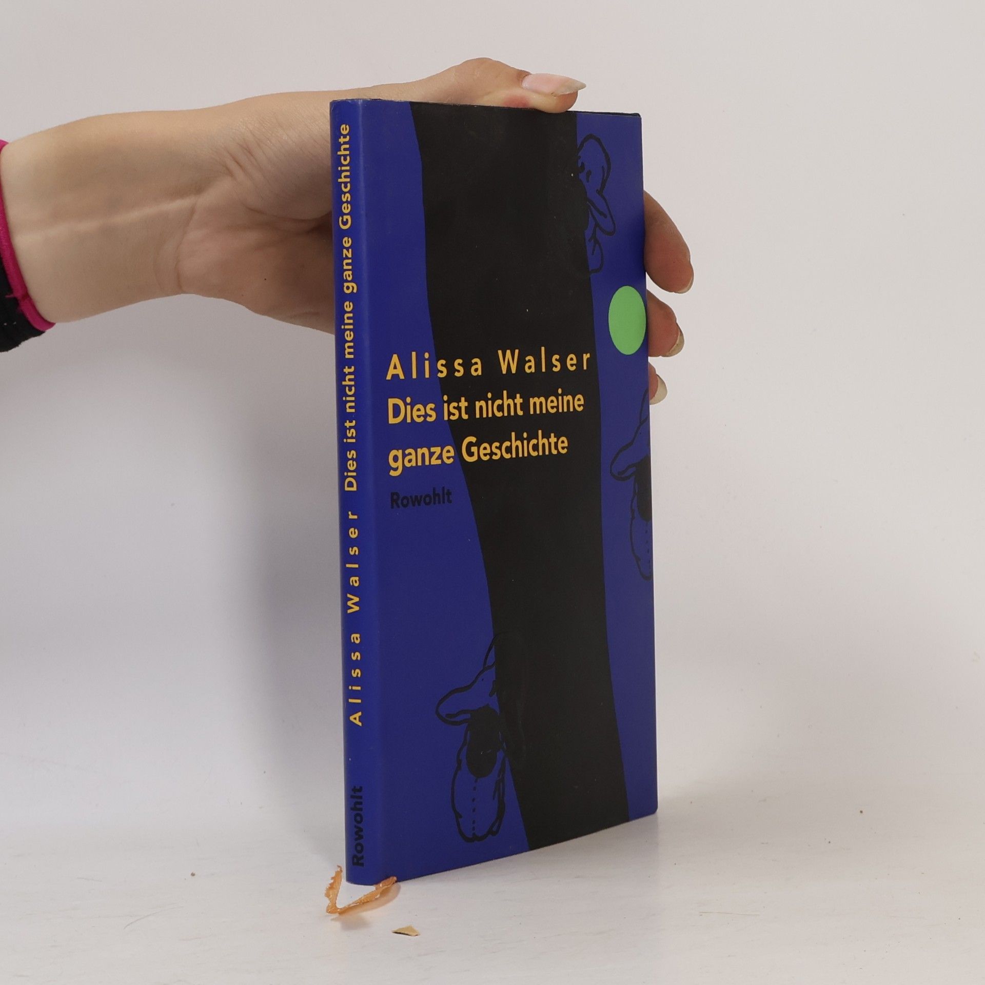 Alissa Walser Dies ist nicht meine ganze Geschichte