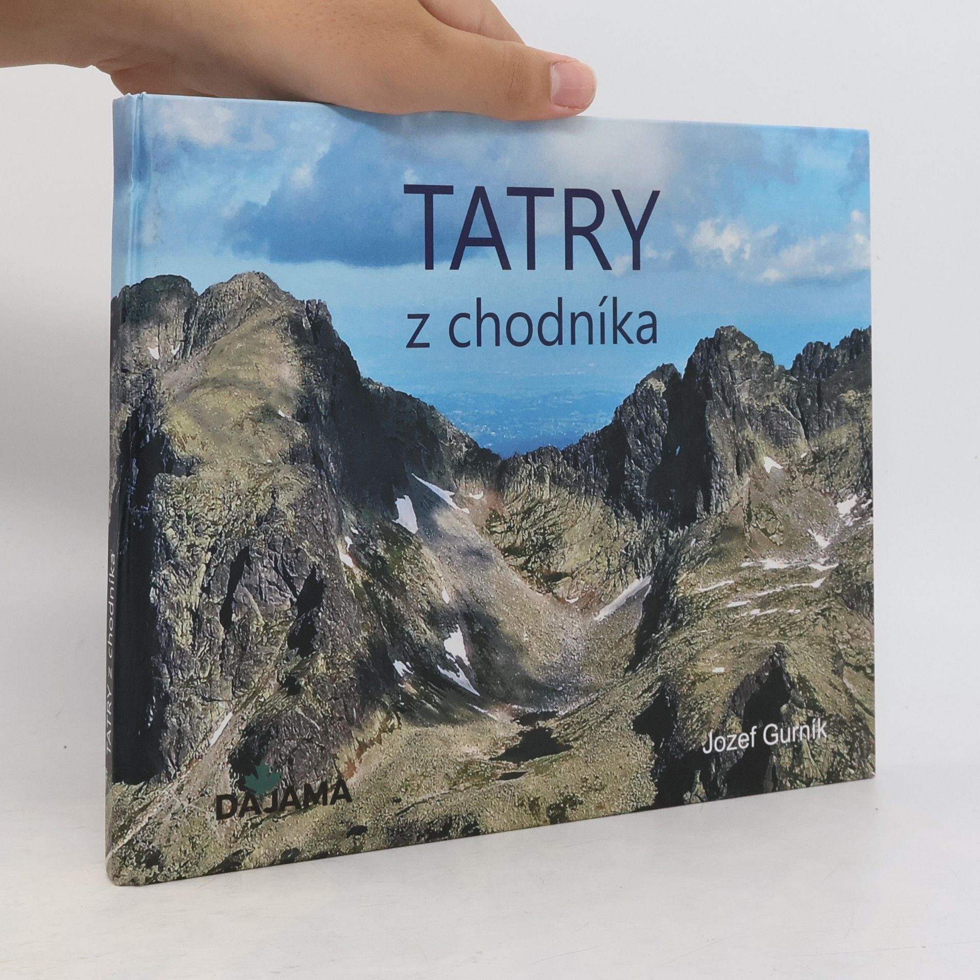 Jozef Gurník Tatry z chodníka