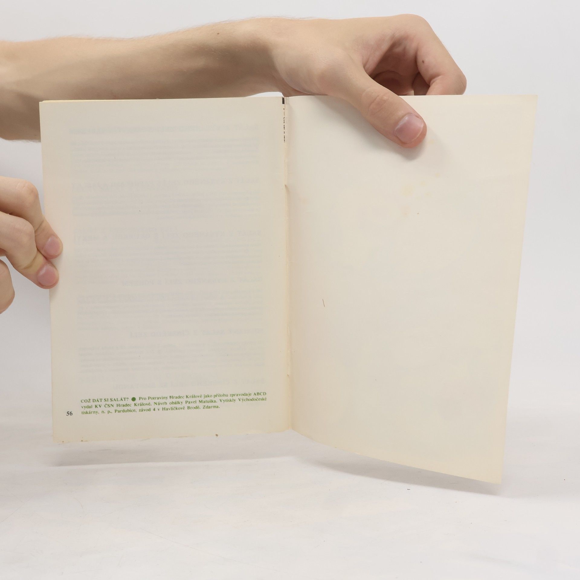 Various authors Což dát si salát?