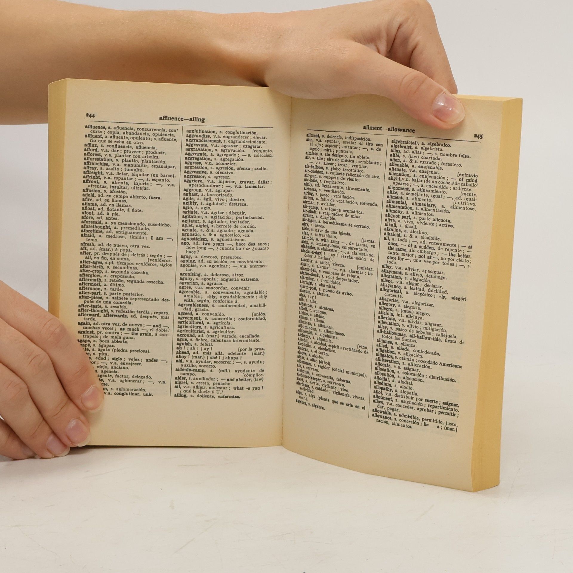 Spanish-English English-Spanish Dictionary