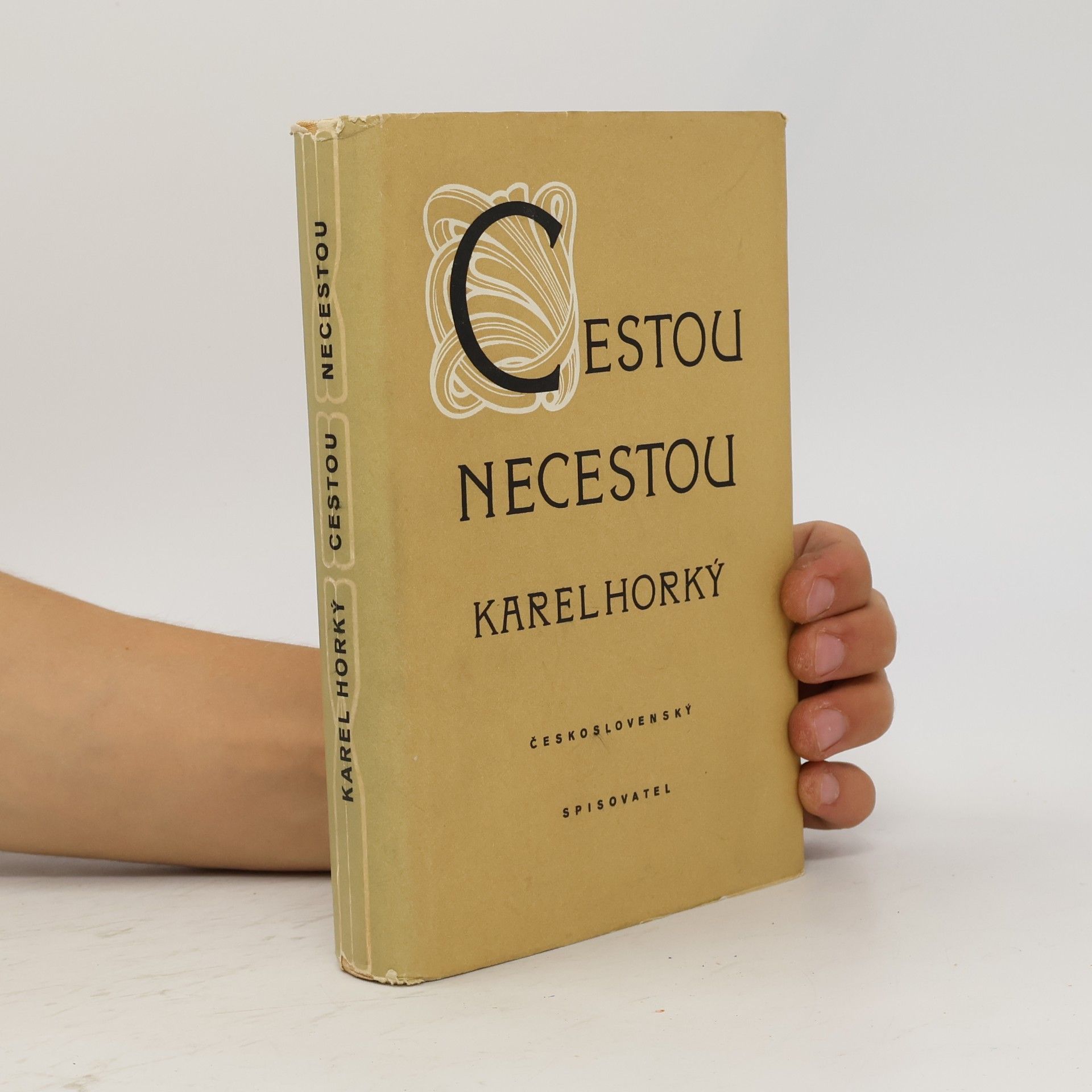 Cestou necestou