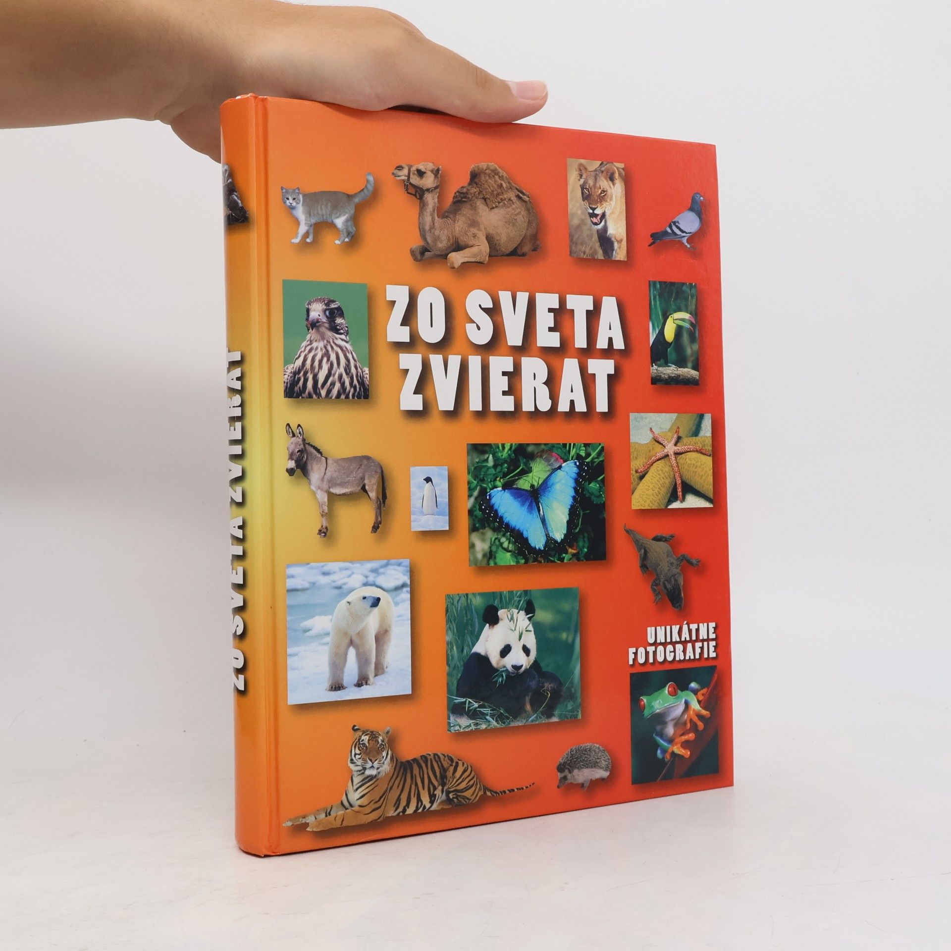AA.VV. Zo sveta zvierat