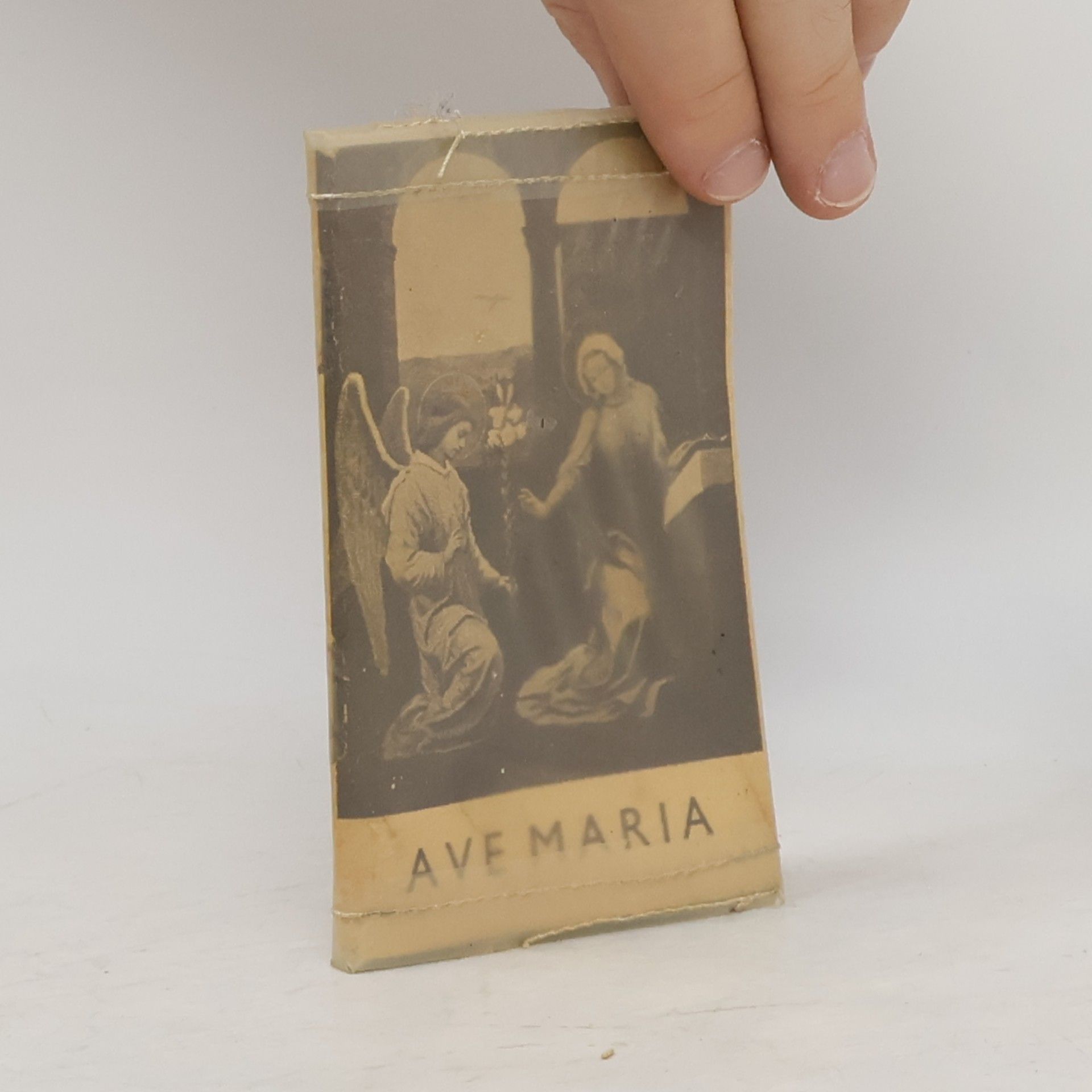 Kolektiv autorů Ave Maria