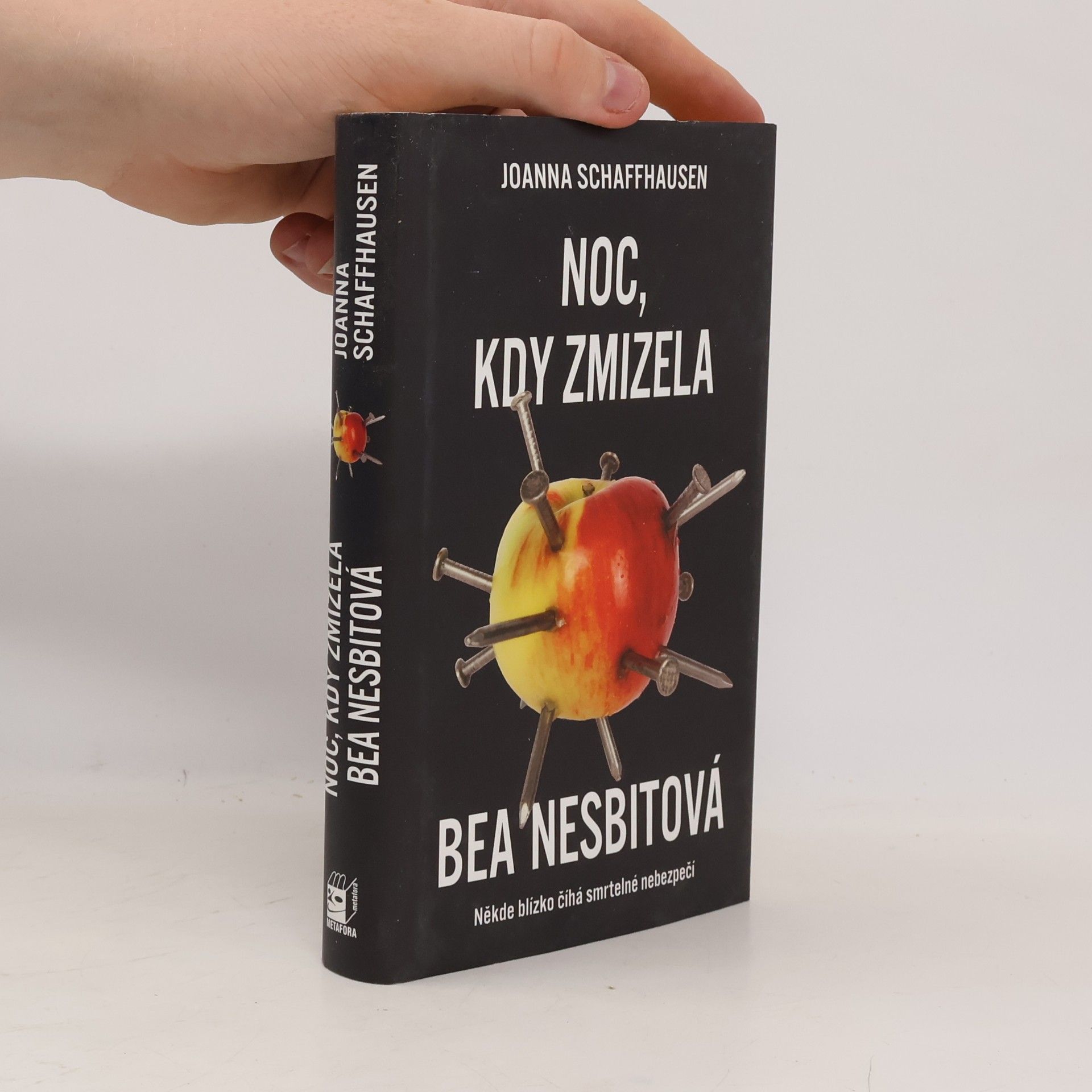Joanna Schaffhausen Noc, kdy zmizela Bea Nesbitová