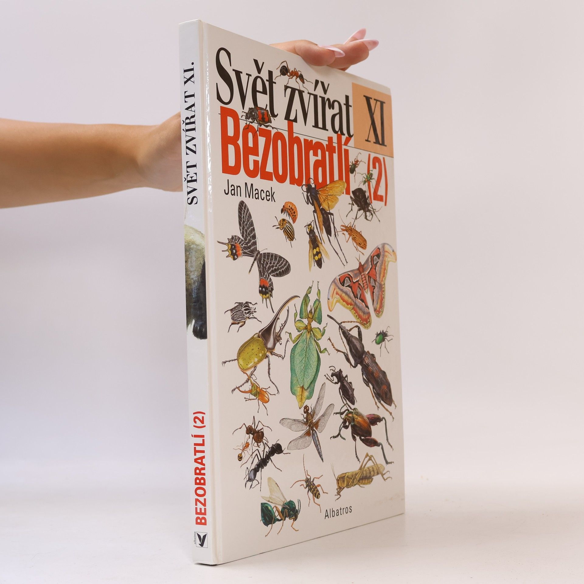 Jan Macek Svět zvířat XI - Bezobratlí 2
