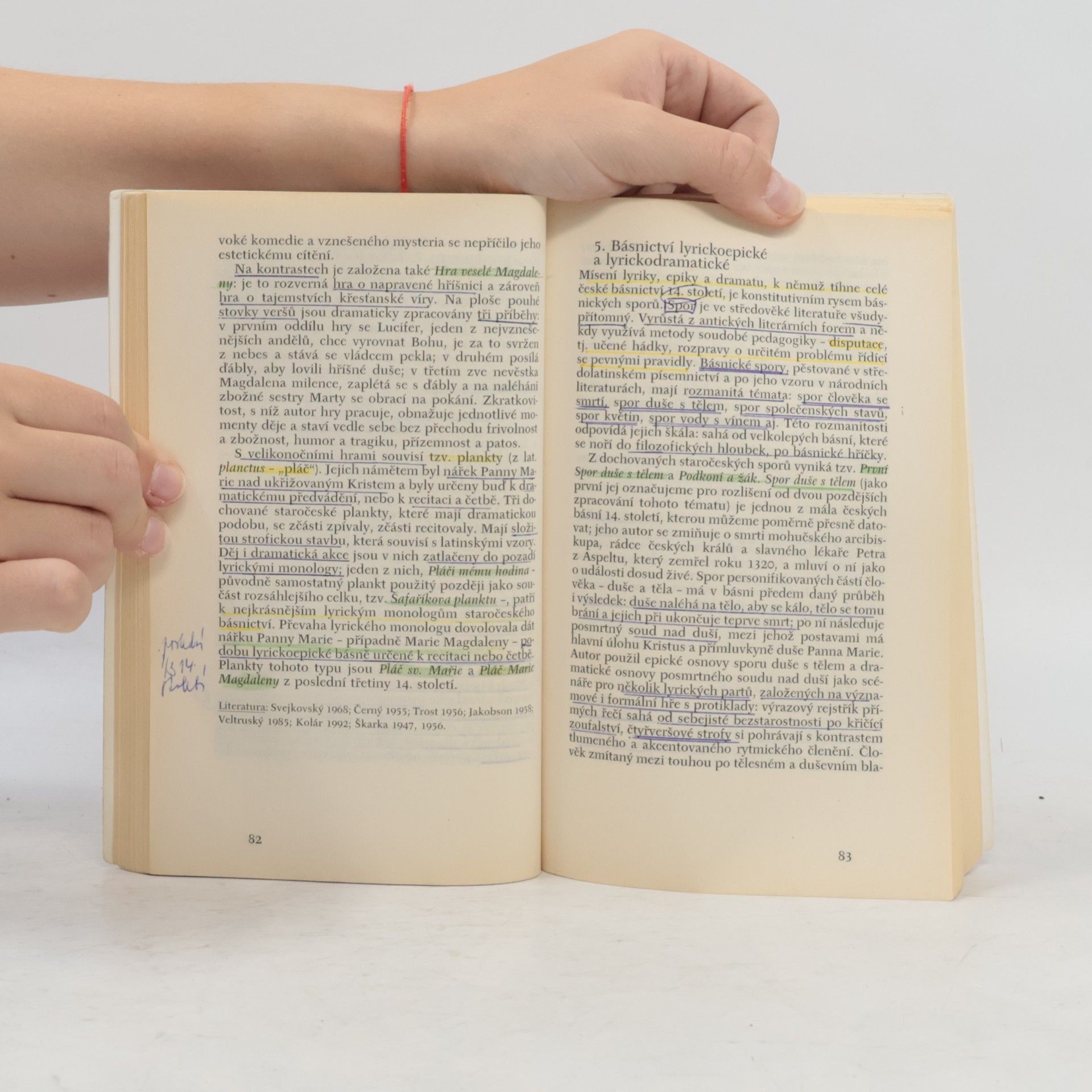 Alexandr Stich Česká literatura I