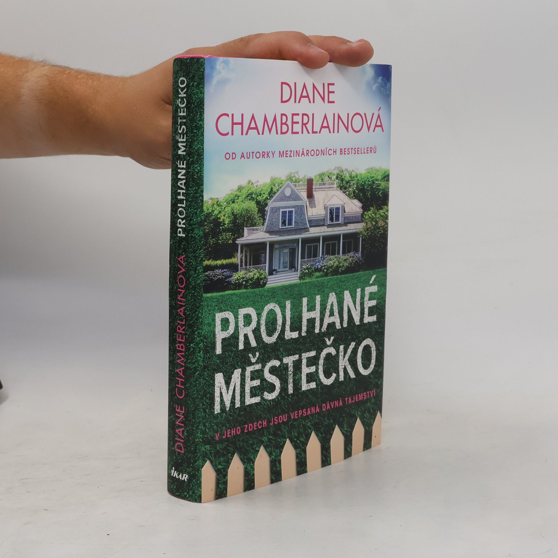 Diane Chamberlain Prolhané městečko