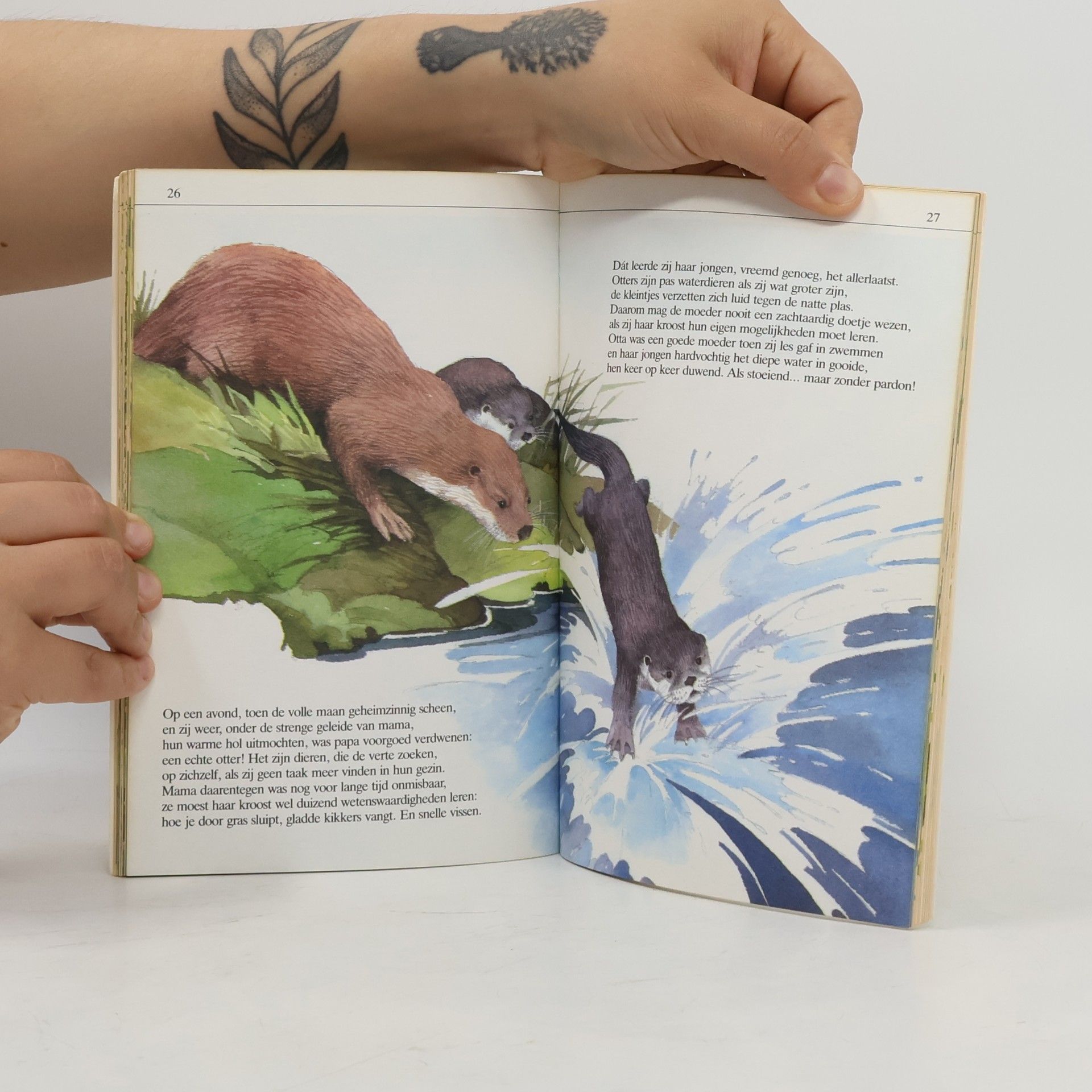 Max Dendermonde Een otter en zijn wilde overmoed