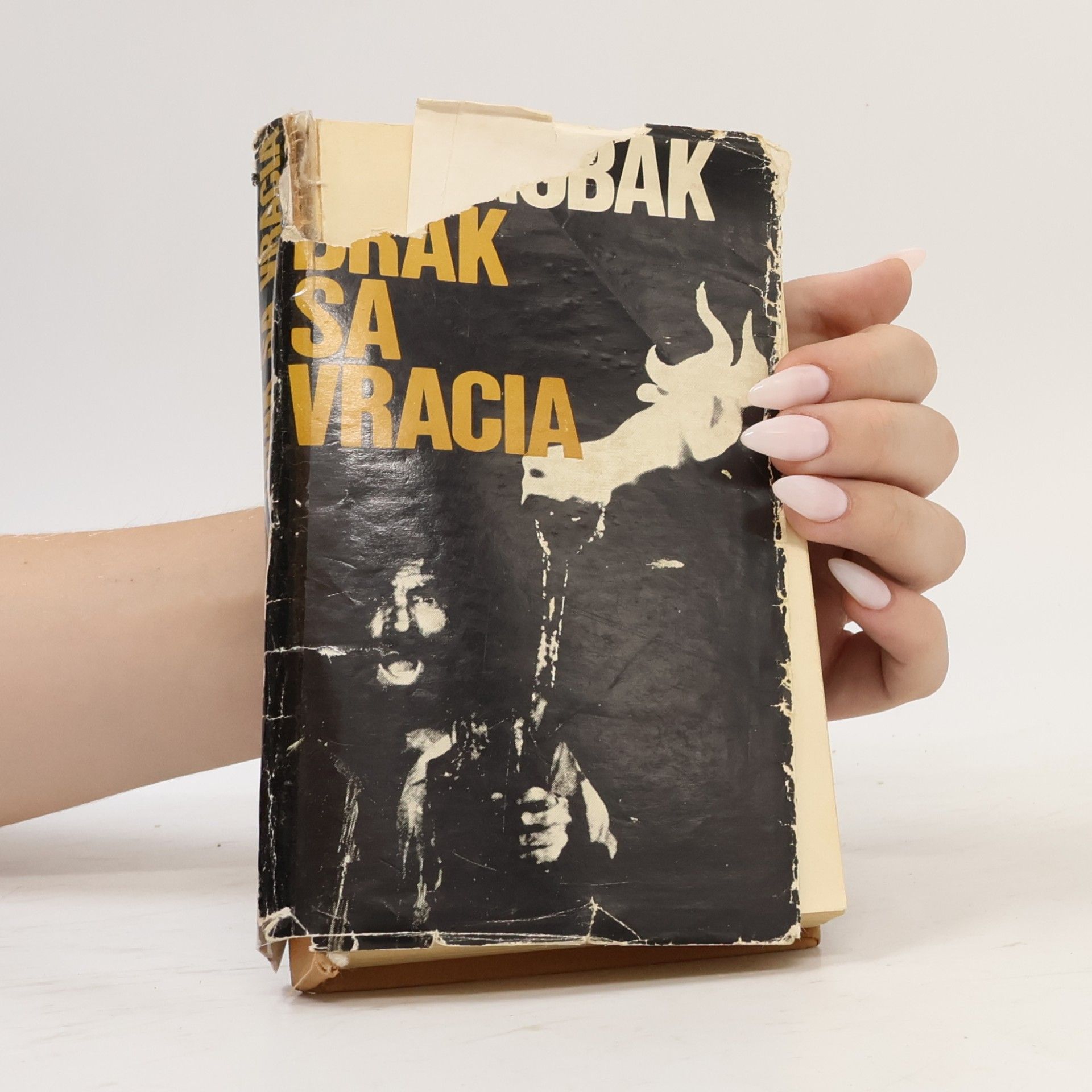 Dobroslav Chrobák Drak sa vracia