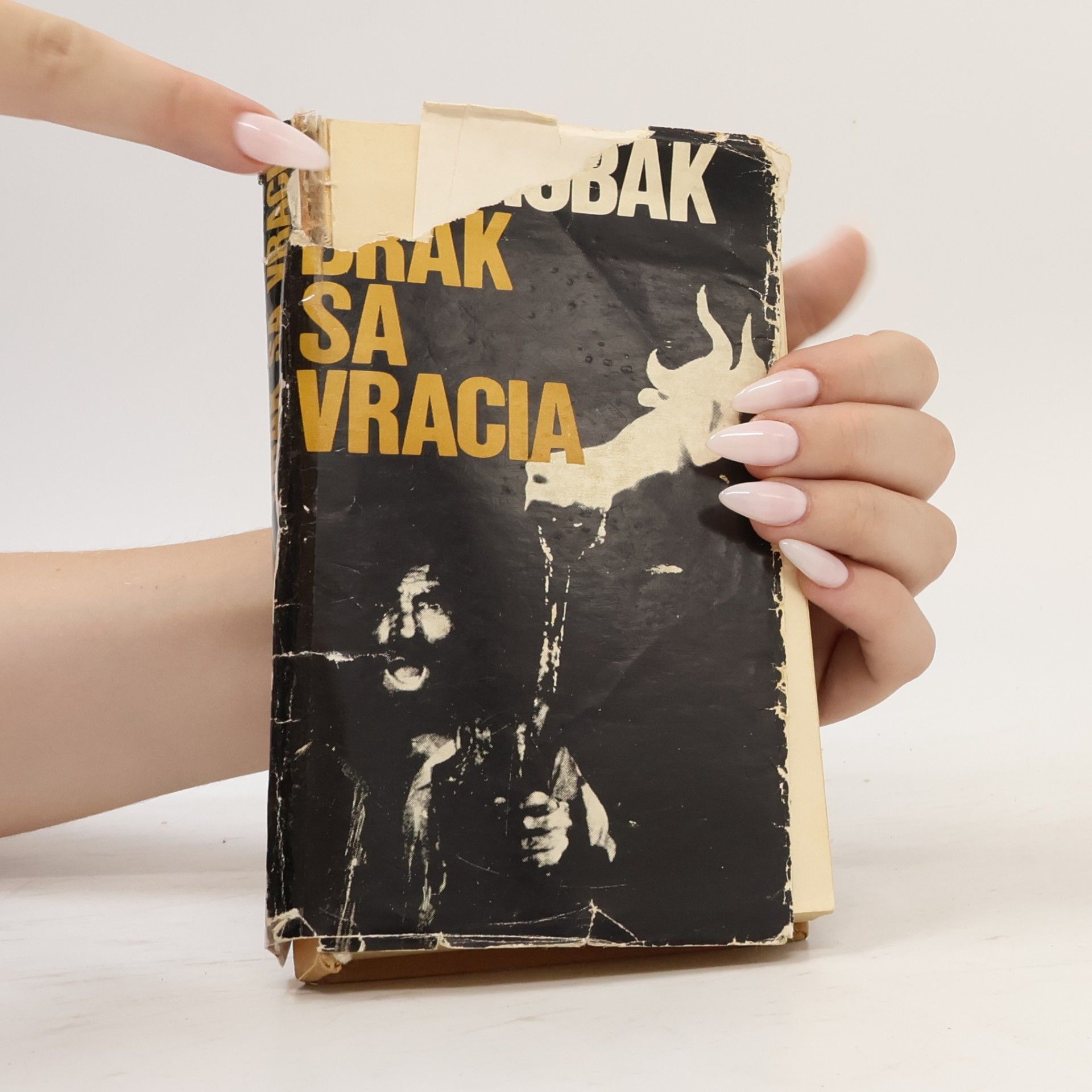 Dobroslav Chrobák Drak sa vracia