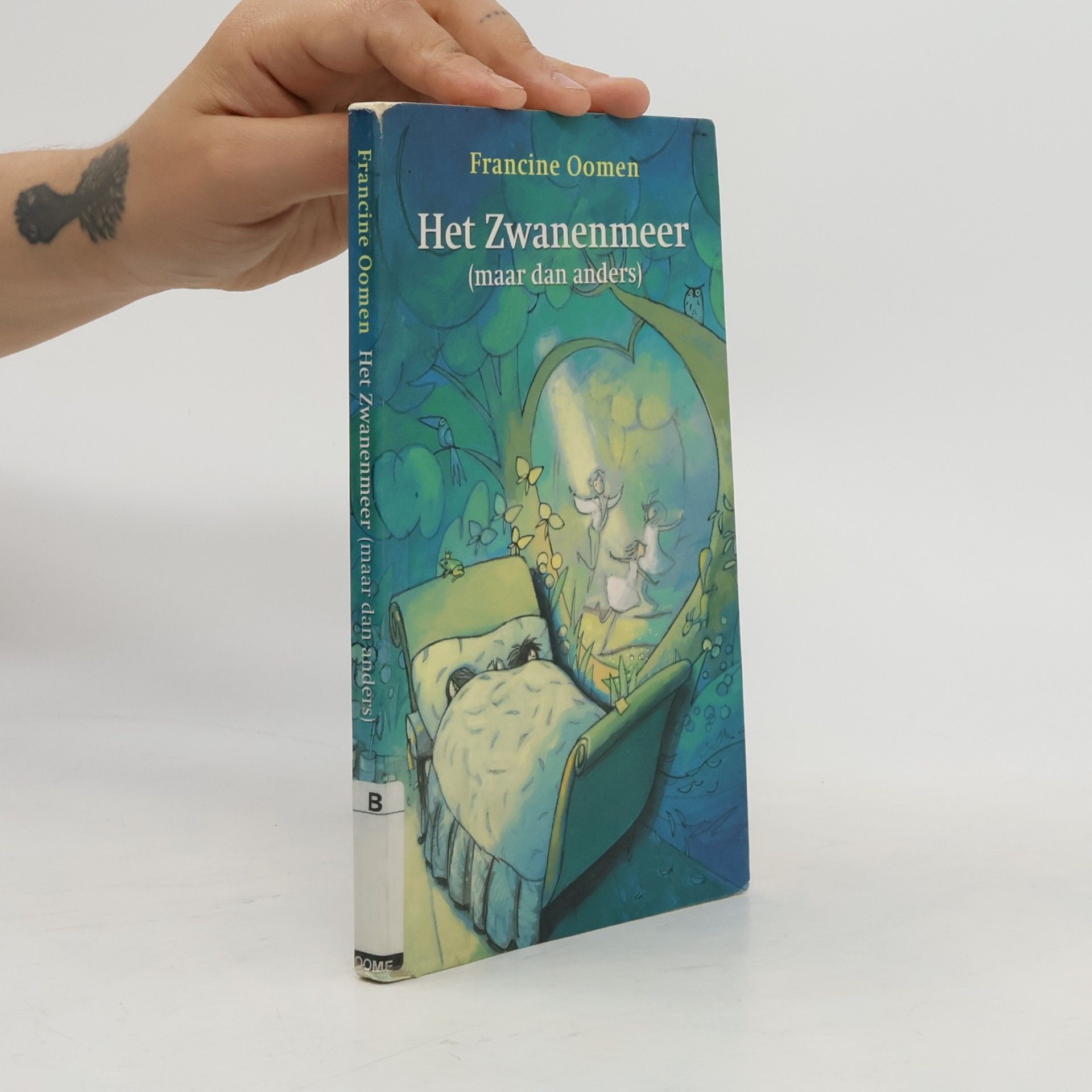 Het Zwanenmeer