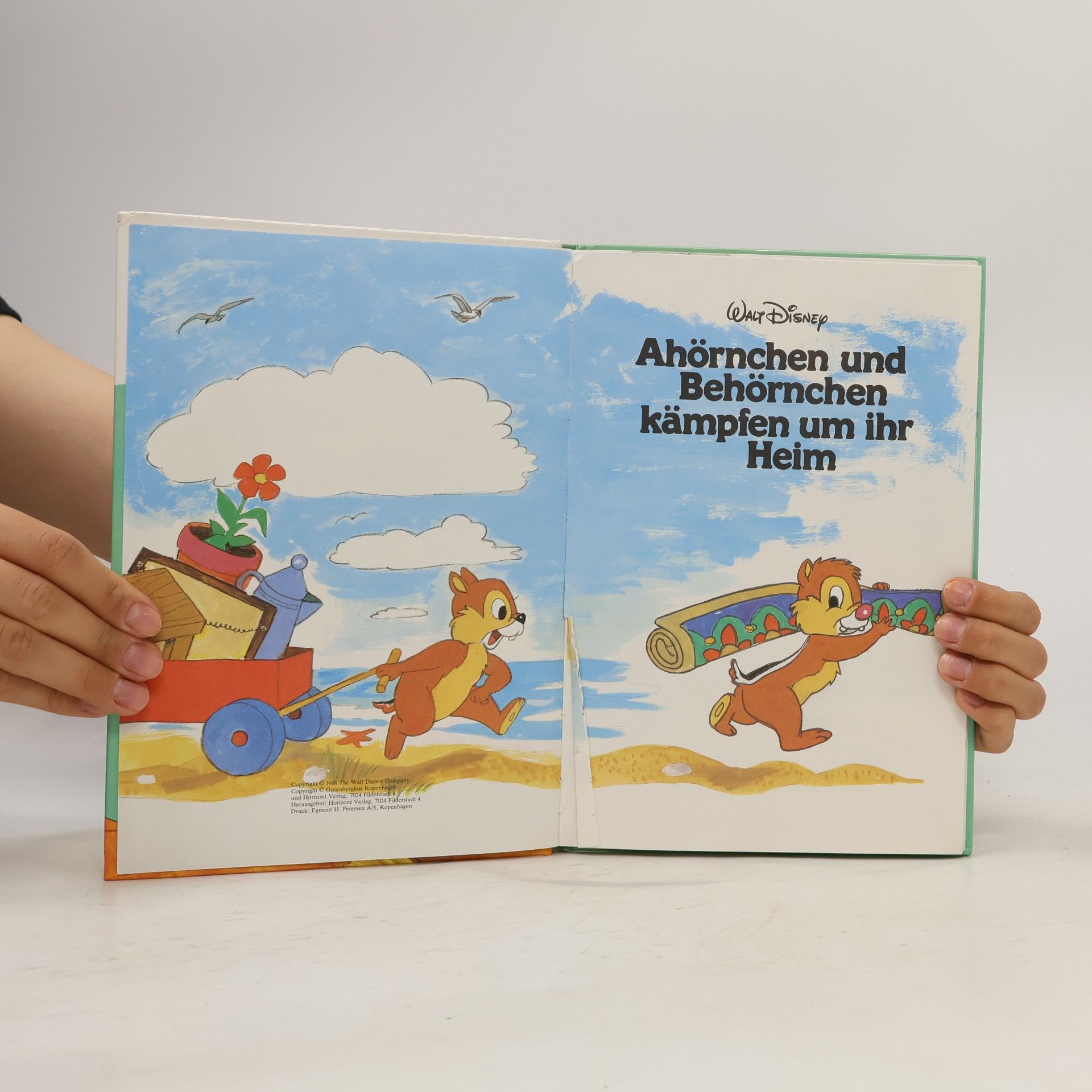 Autorenkollektiv Ahörnchen und Behörnchen kämpfen um ihr Heim