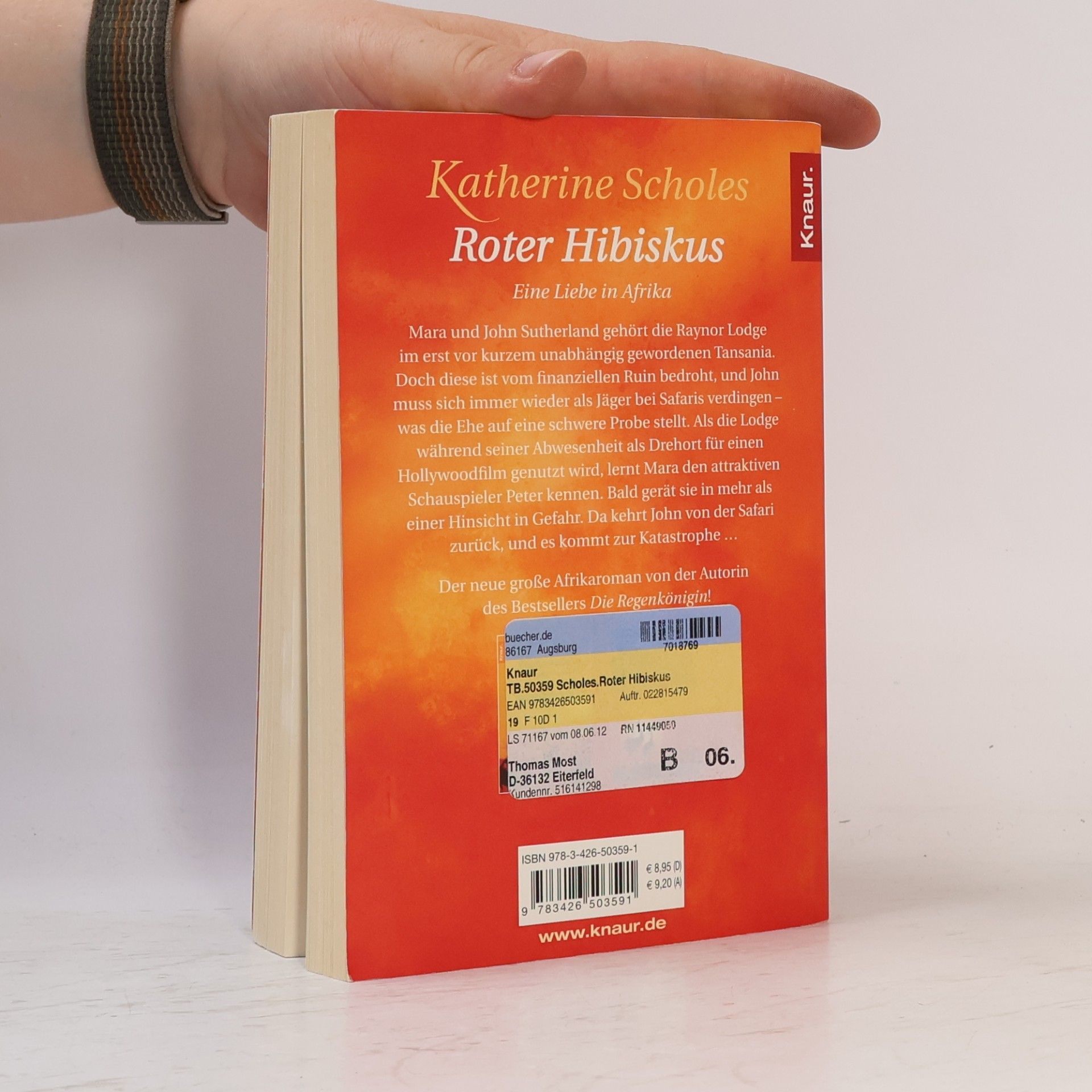 Katherine Scholes Roter Hibiskus