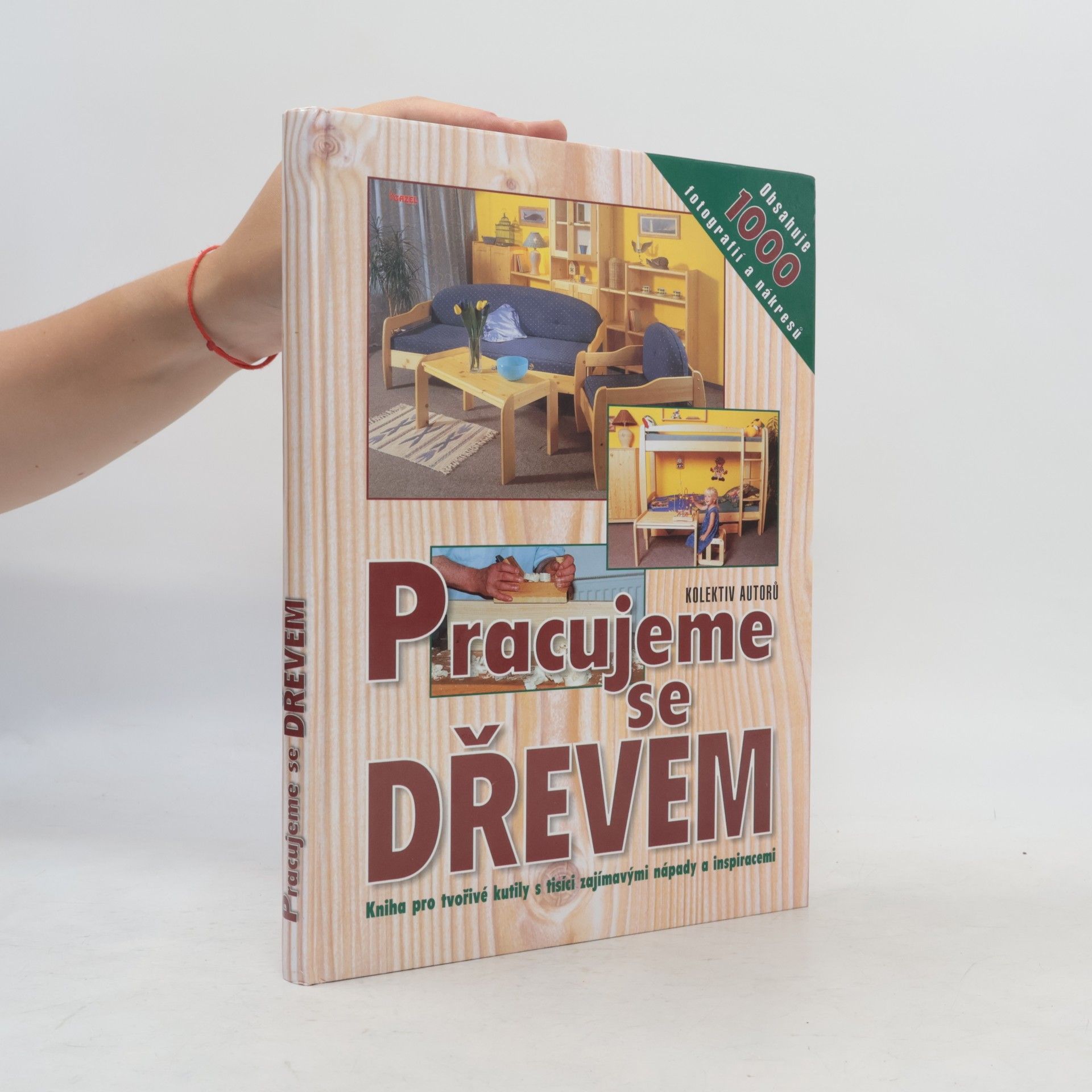 Collectif d'auteurs Pracujeme se dřevem
