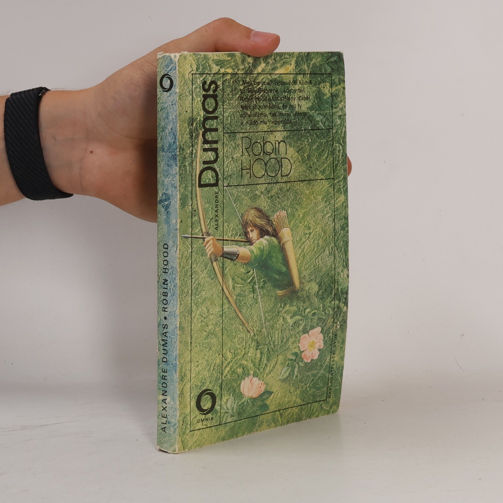 Alexandre Dumas starší Robin Hood