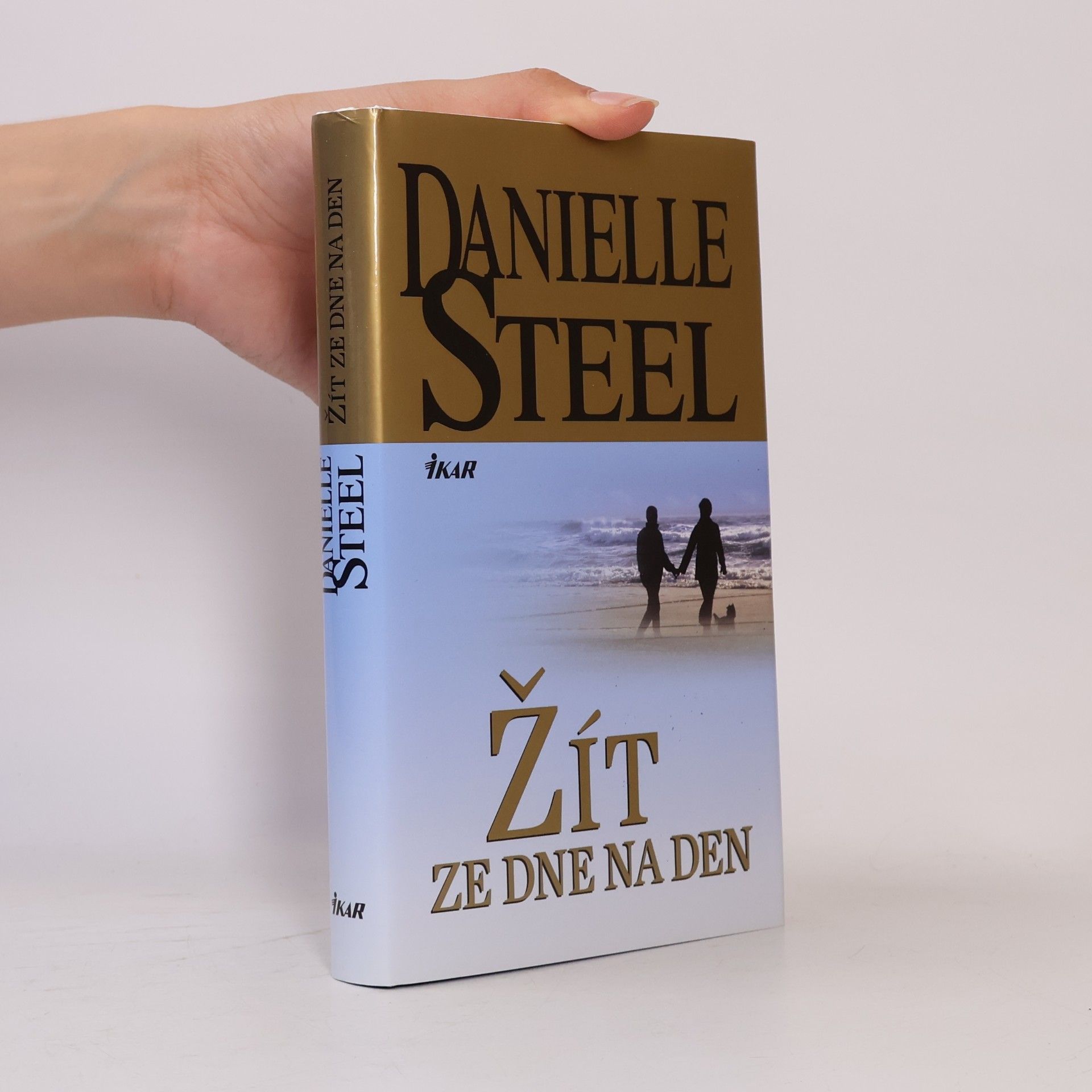 Danielle Steel Žít ze dne na den