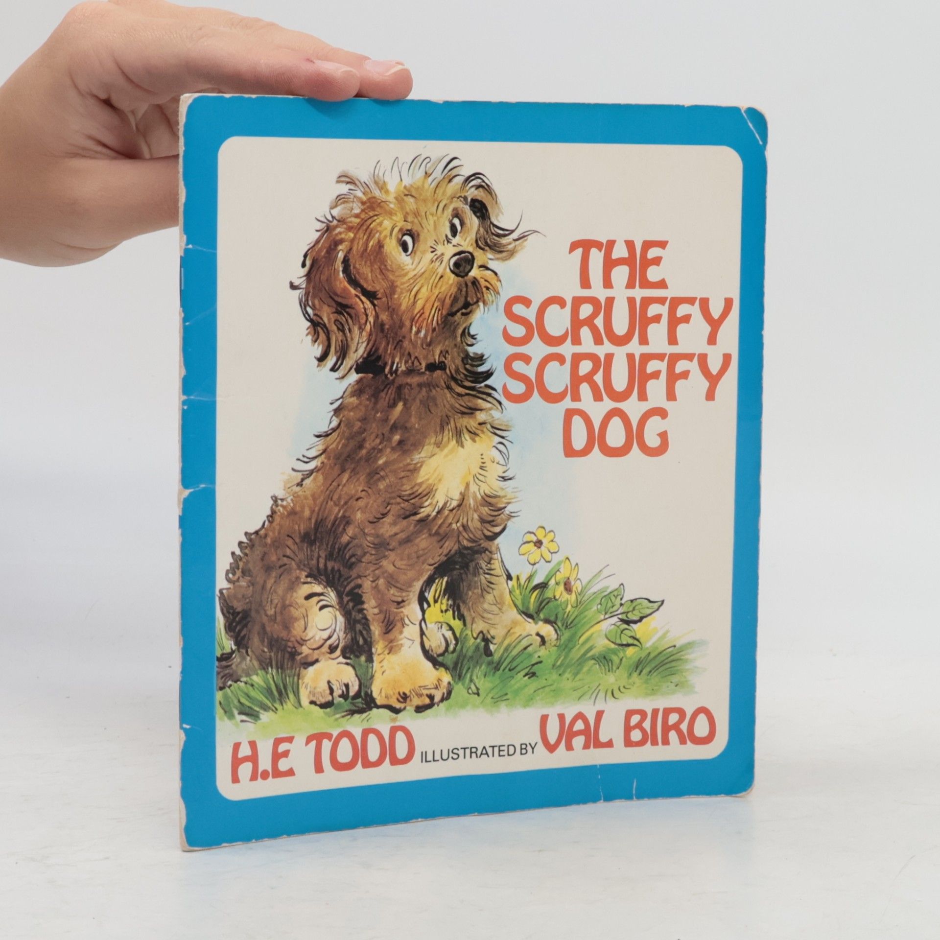 The Scruffy Scruffy Dog