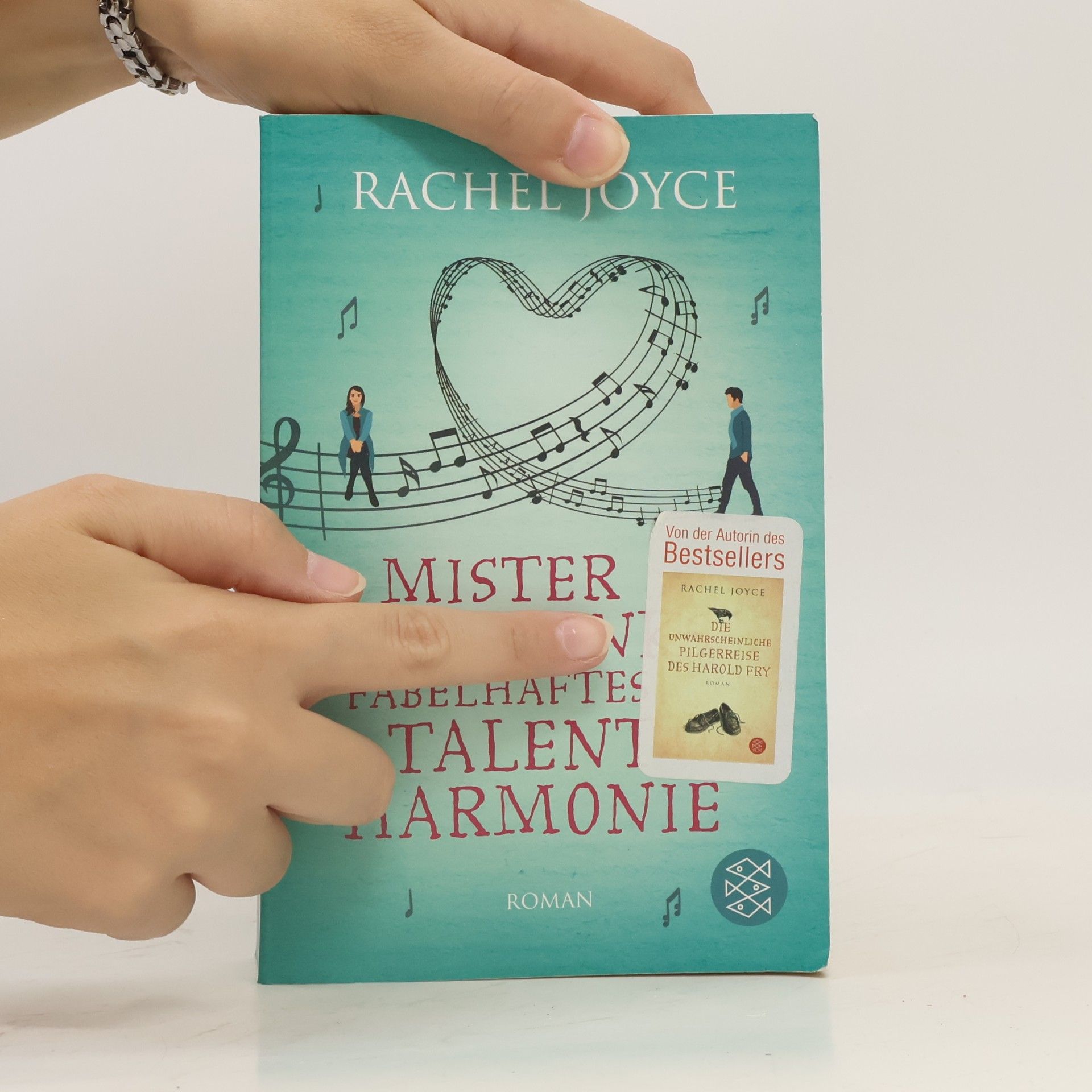 Rachel Joyce Mister Franks fabelhaftes Talent für Harmonie