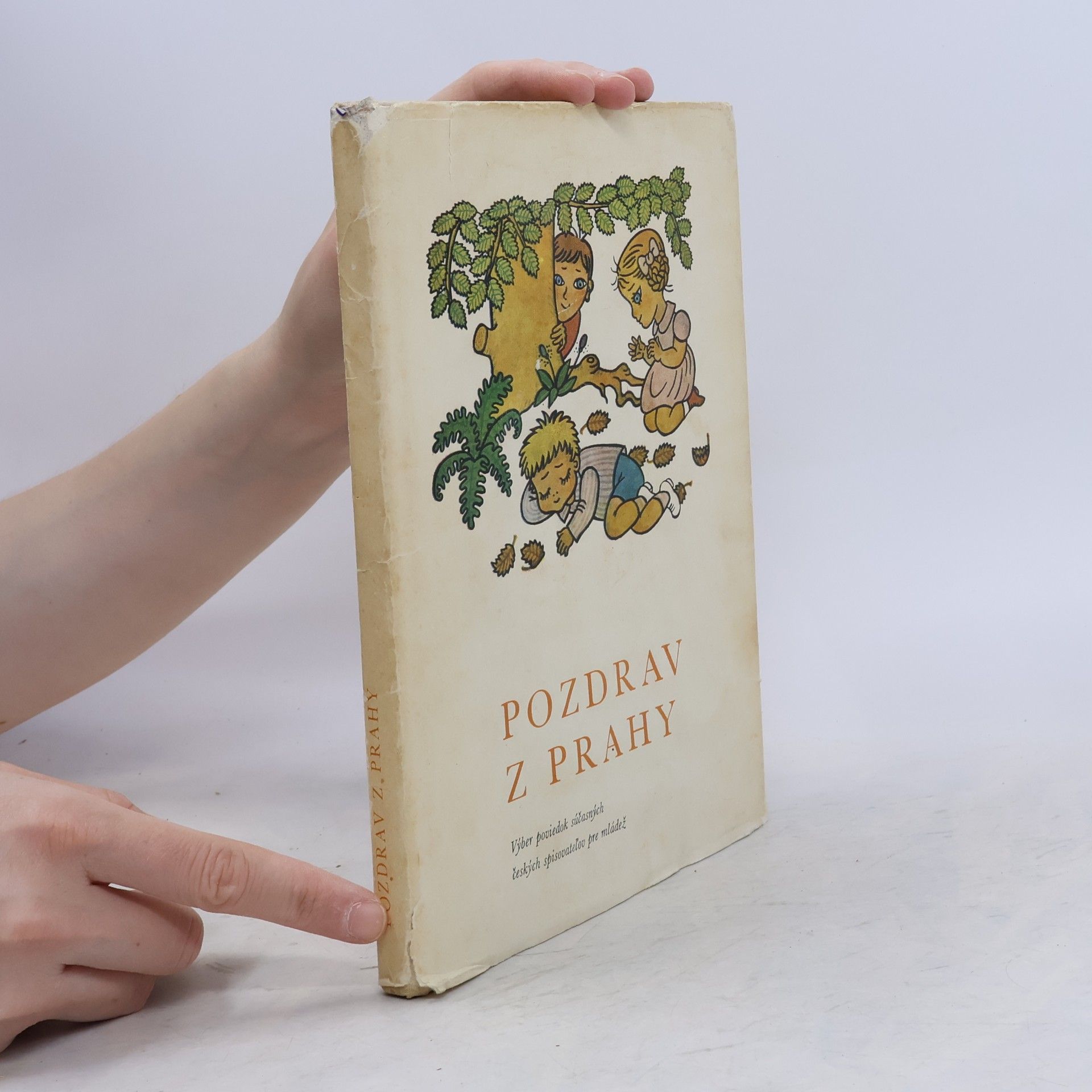 Autores varios Pozdrav z Prahy