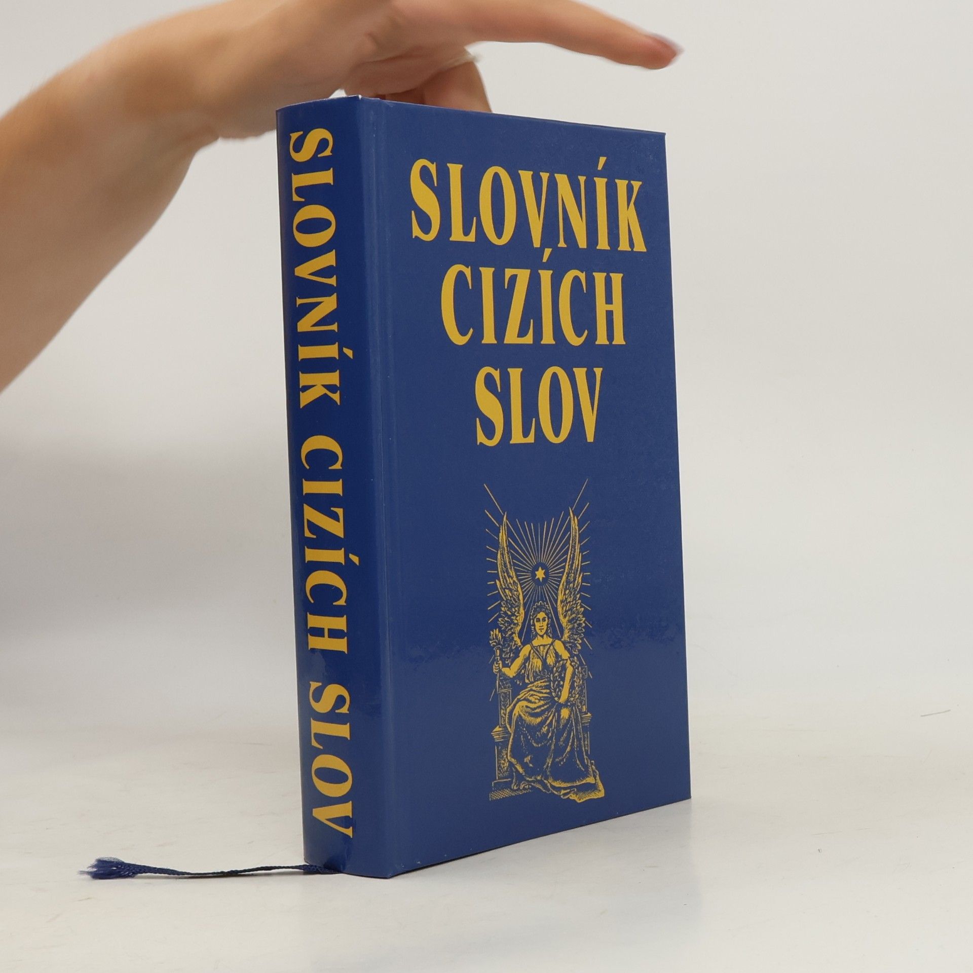Kolektiv autorů Slovník cizích slov