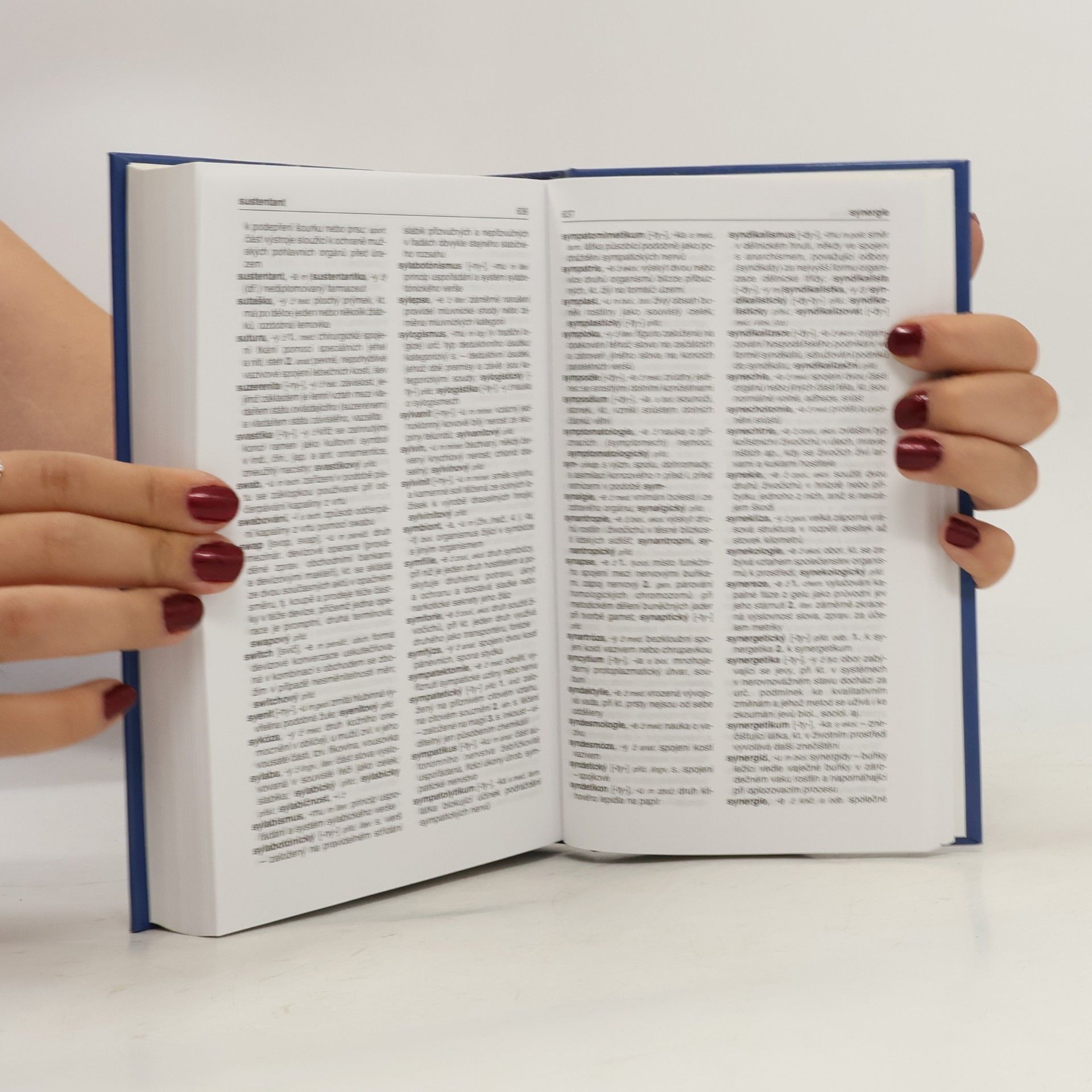 Collectif d'auteurs Slovník cizích slov