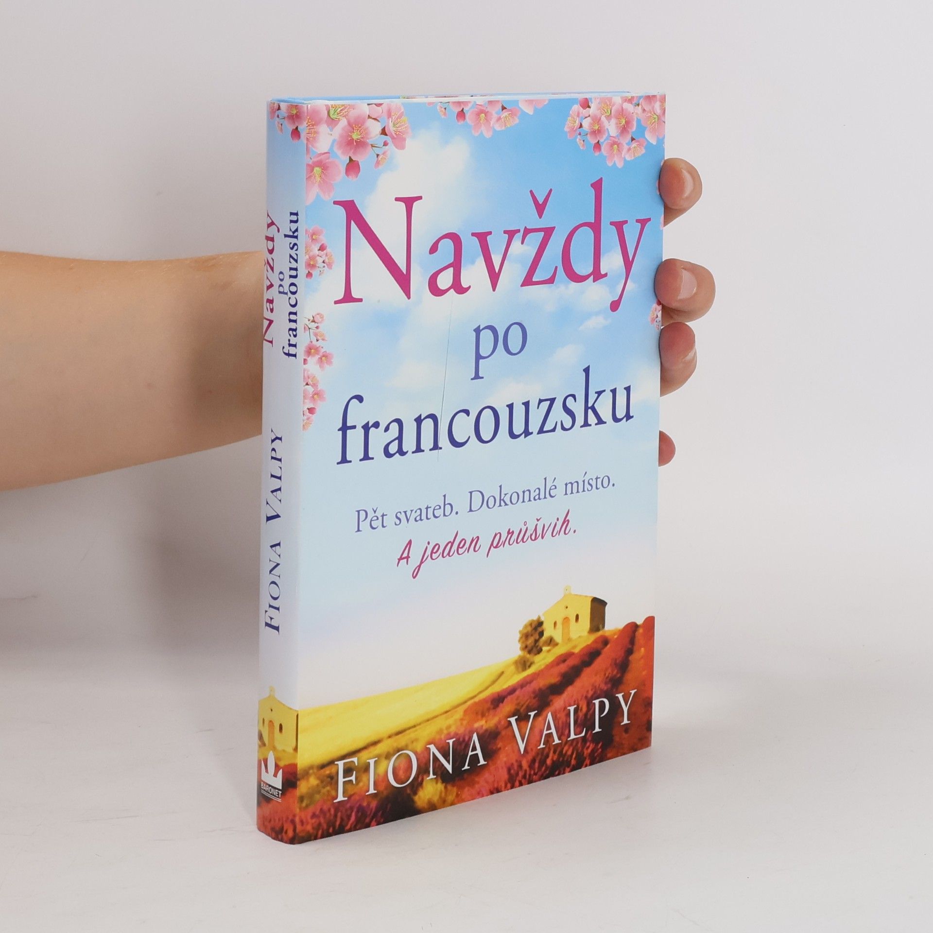 Fiona Valpy Navždy po francouzsku