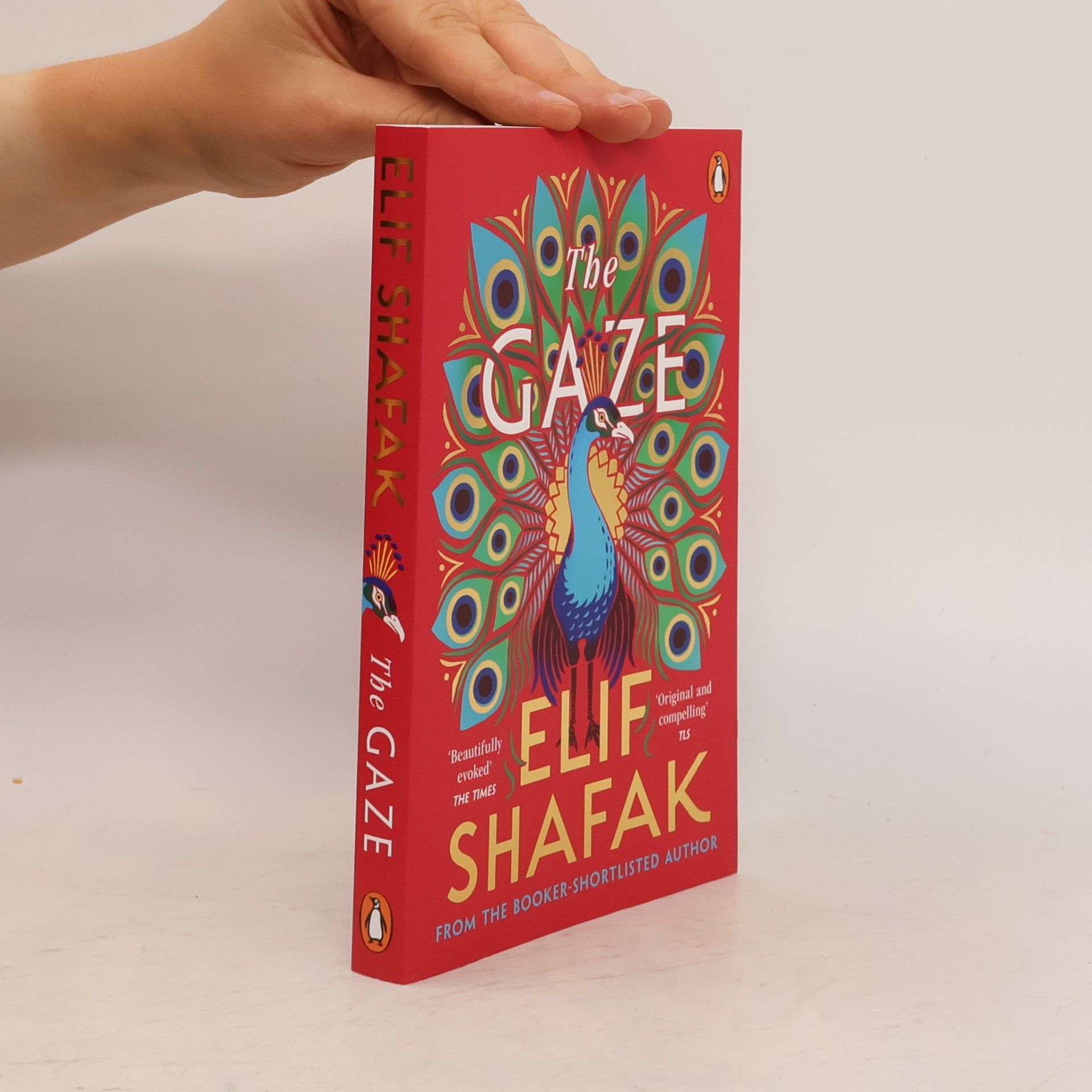 Elif Shafak The Gaze