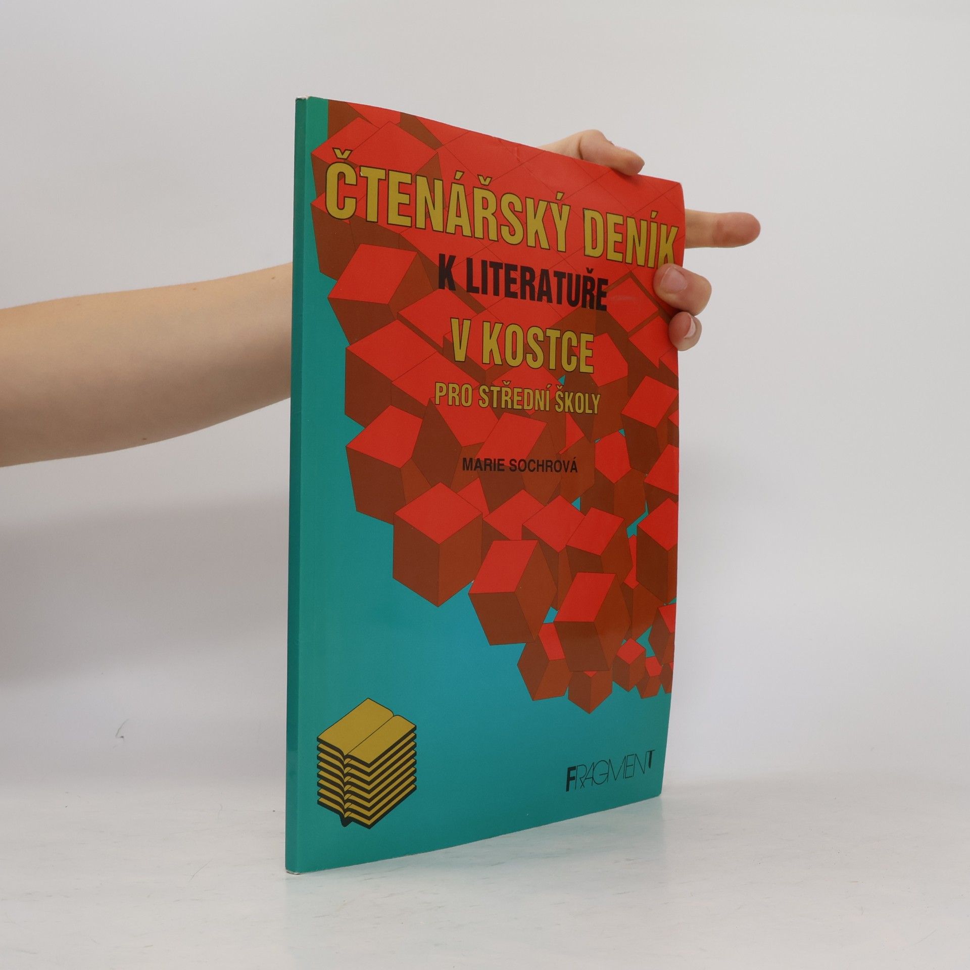 Marie Sochrová Čtenářský deník k Literatuře v kostce