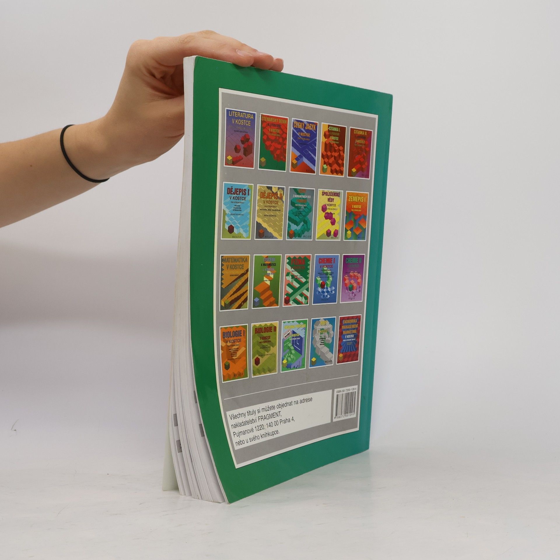 Marie Sochrová Čtenářský deník k Literatuře v kostce