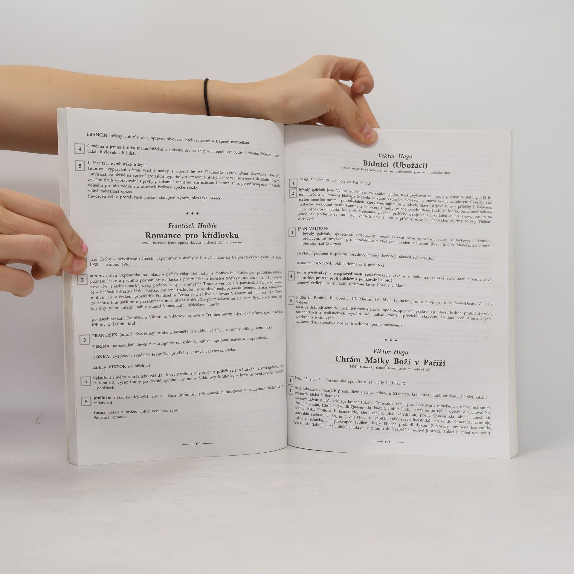 Marie Sochrová Čtenářský deník k Literatuře v kostce