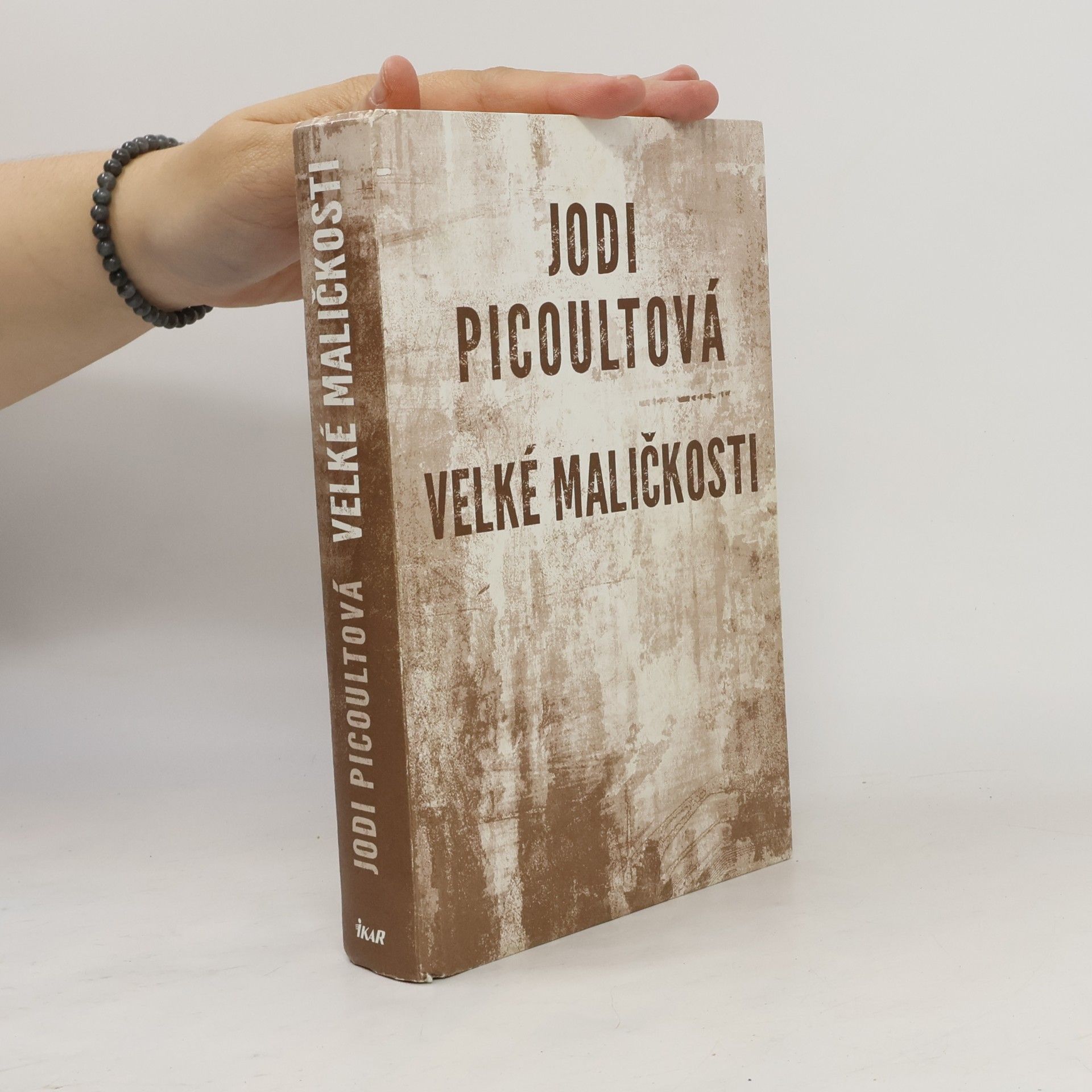 Jodi Picoult Velké maličkosti